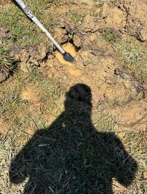 Project in Cold Spring