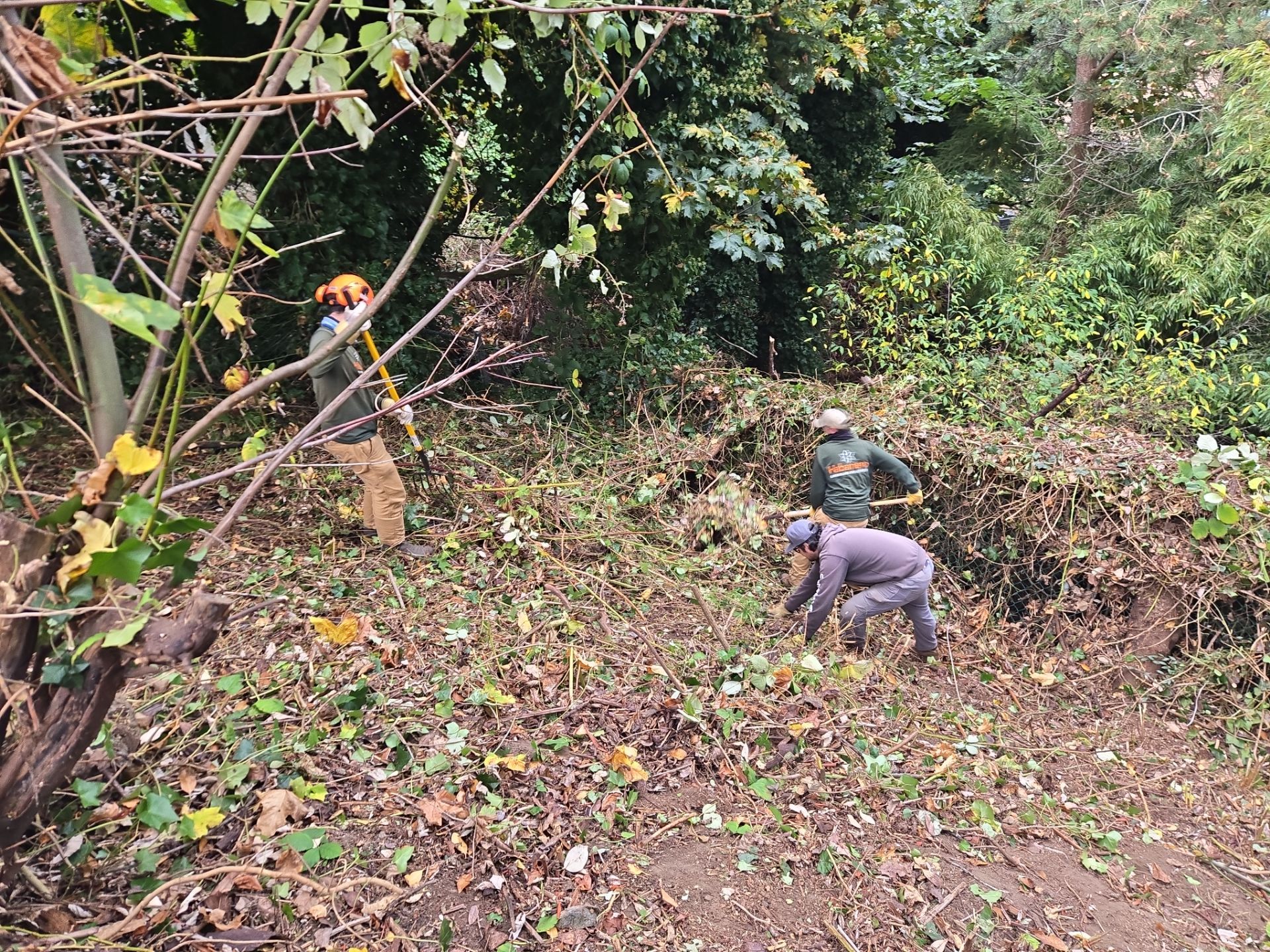 Georgia Park Terrace — Living Slope Transformation by Habanero Landscape Solutions