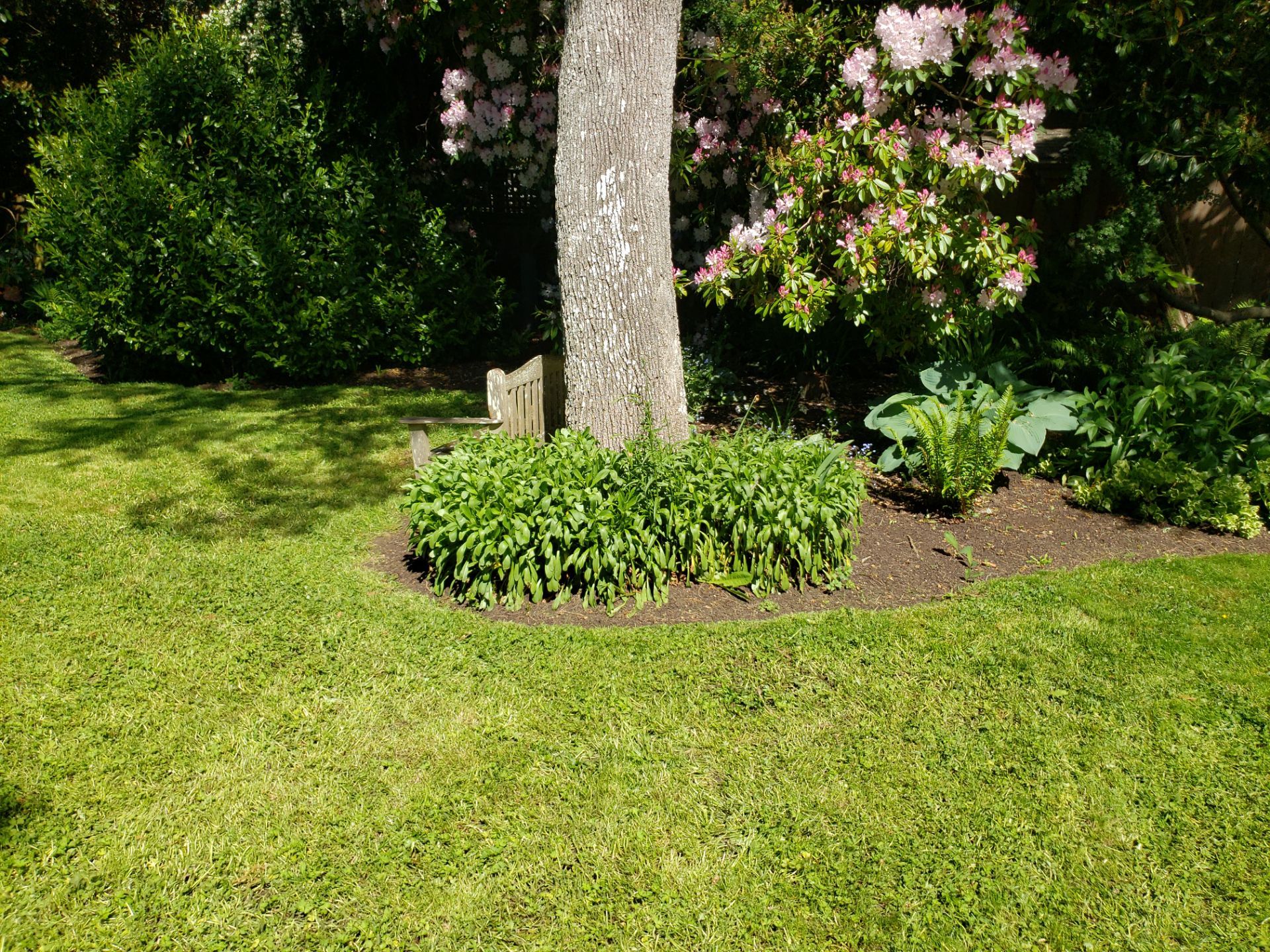 Residence in Rockland by Habanero Garden and Exterior Care