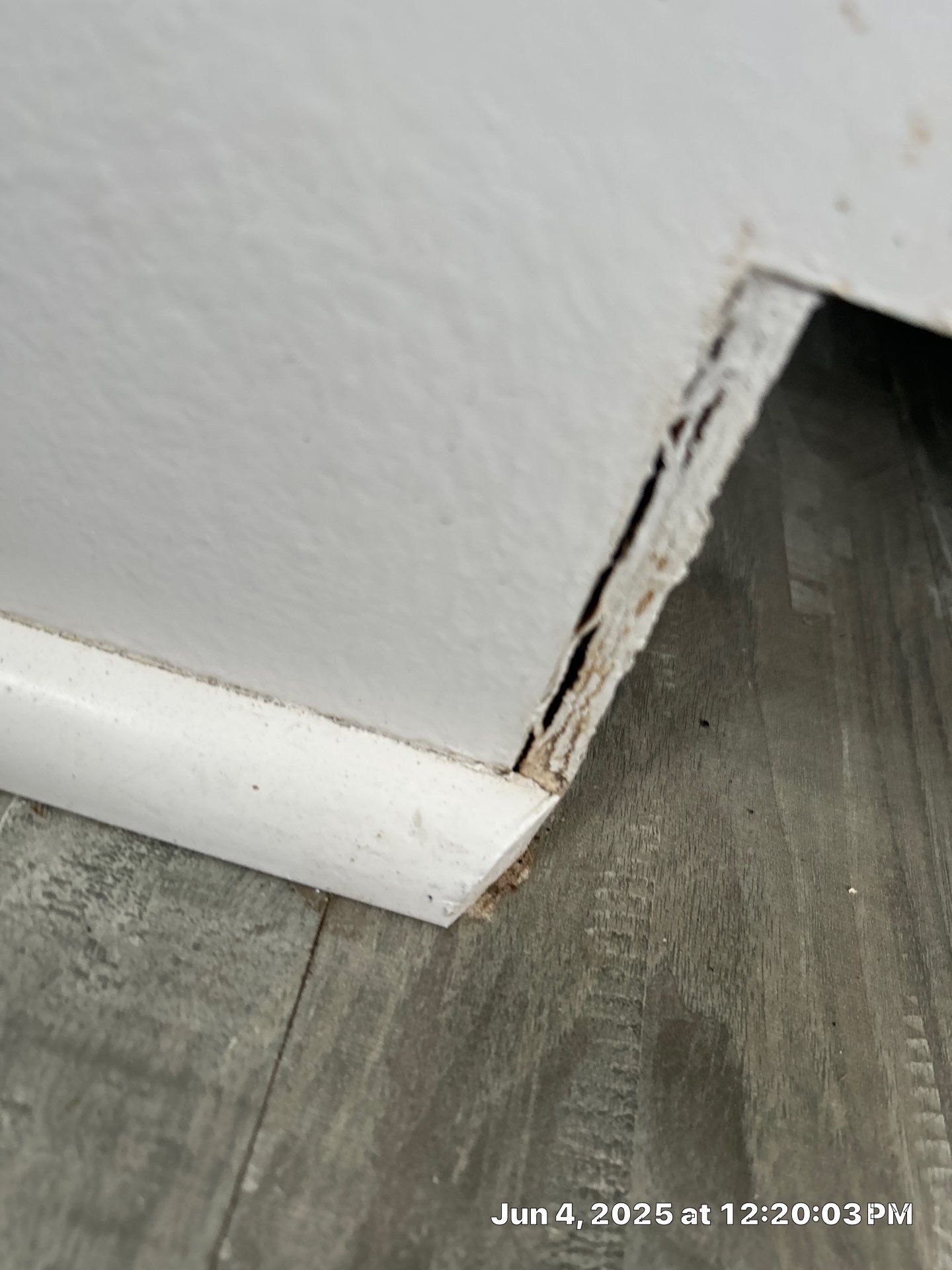 Water Damage Restoration Services by Ampm Restoration Services