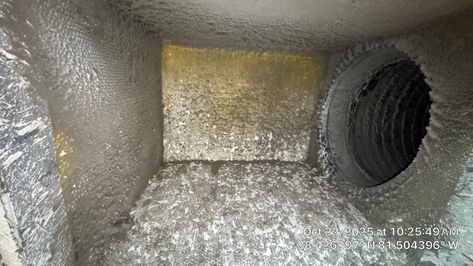 Air Duct and Dryer Vent Cleaning in Orlando by Hygienic Air, Inc