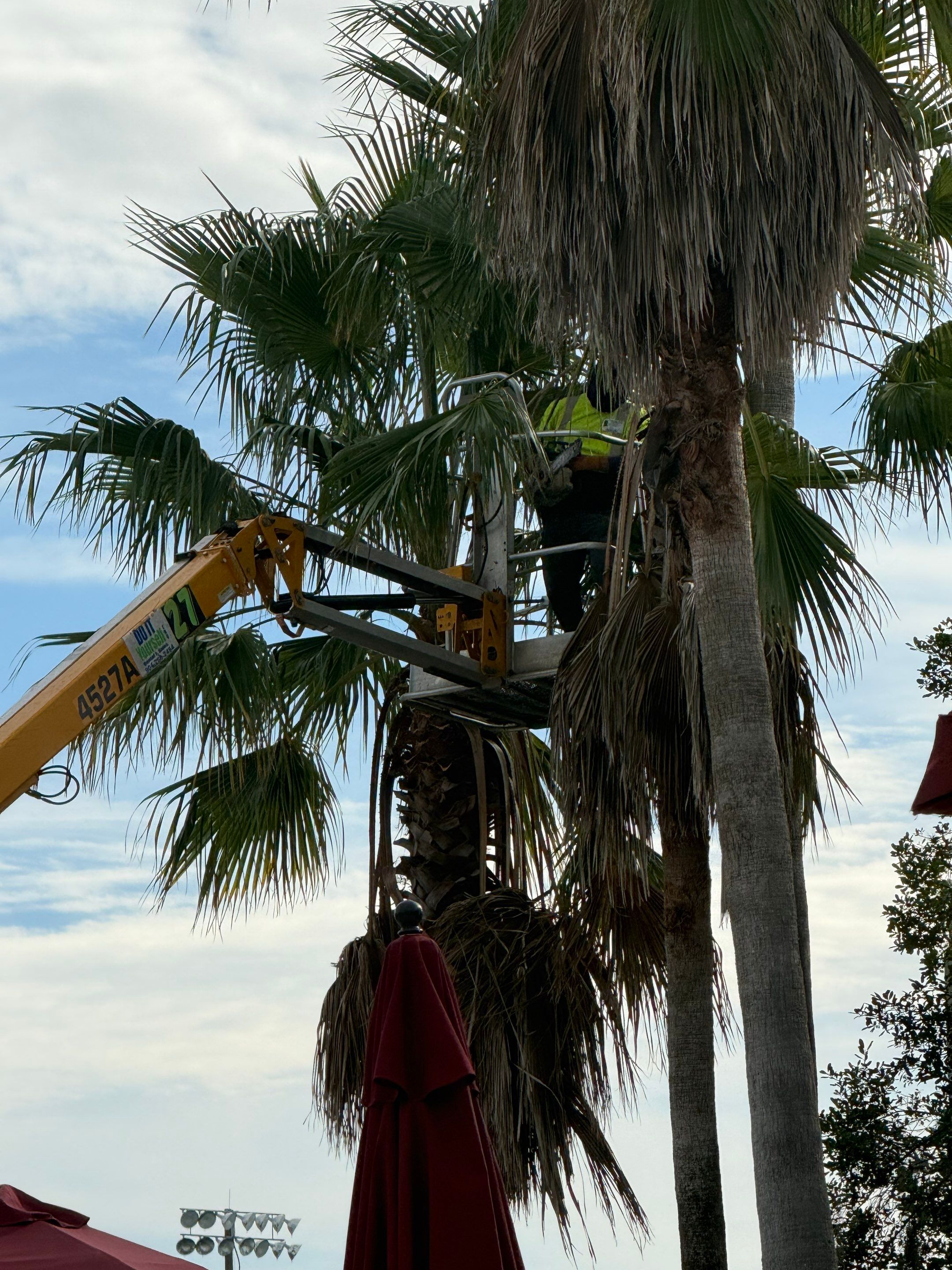 Volunteer Work | Episcopal High School of Jacksonville by ProGreen Services