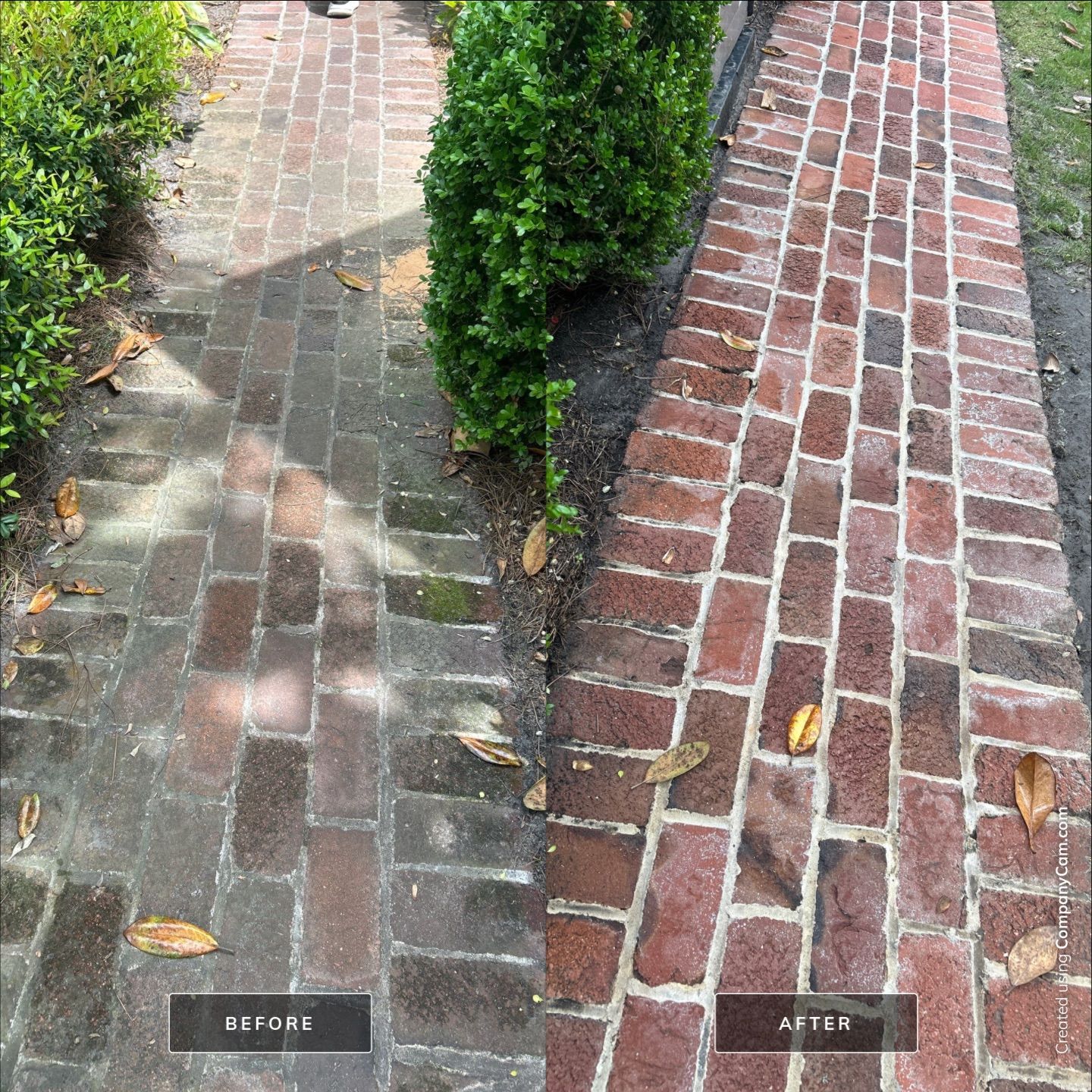 House Washing in Wilmington by Shark Power Washing