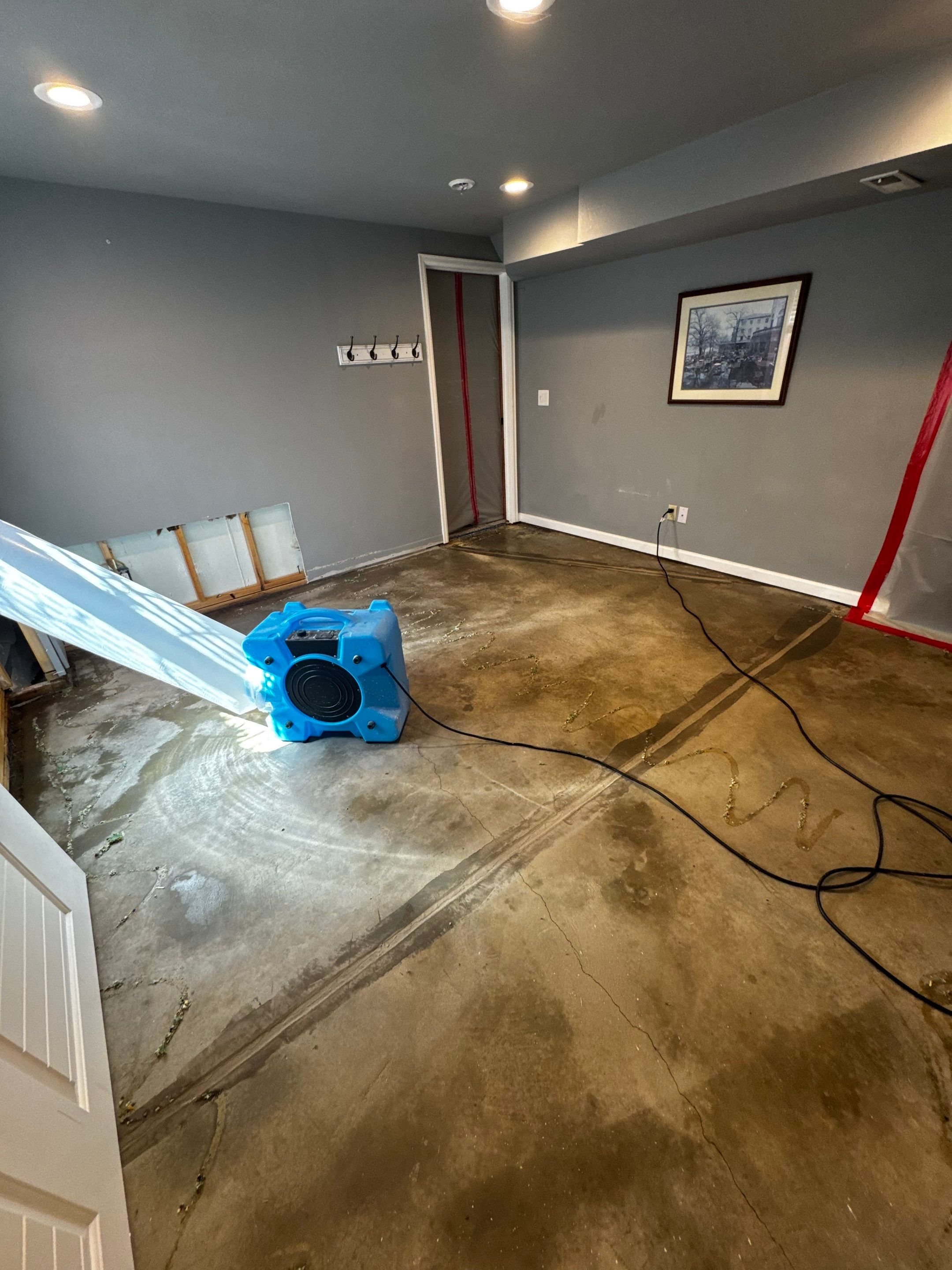 Mold Project in Thornton by Accountable Home Services