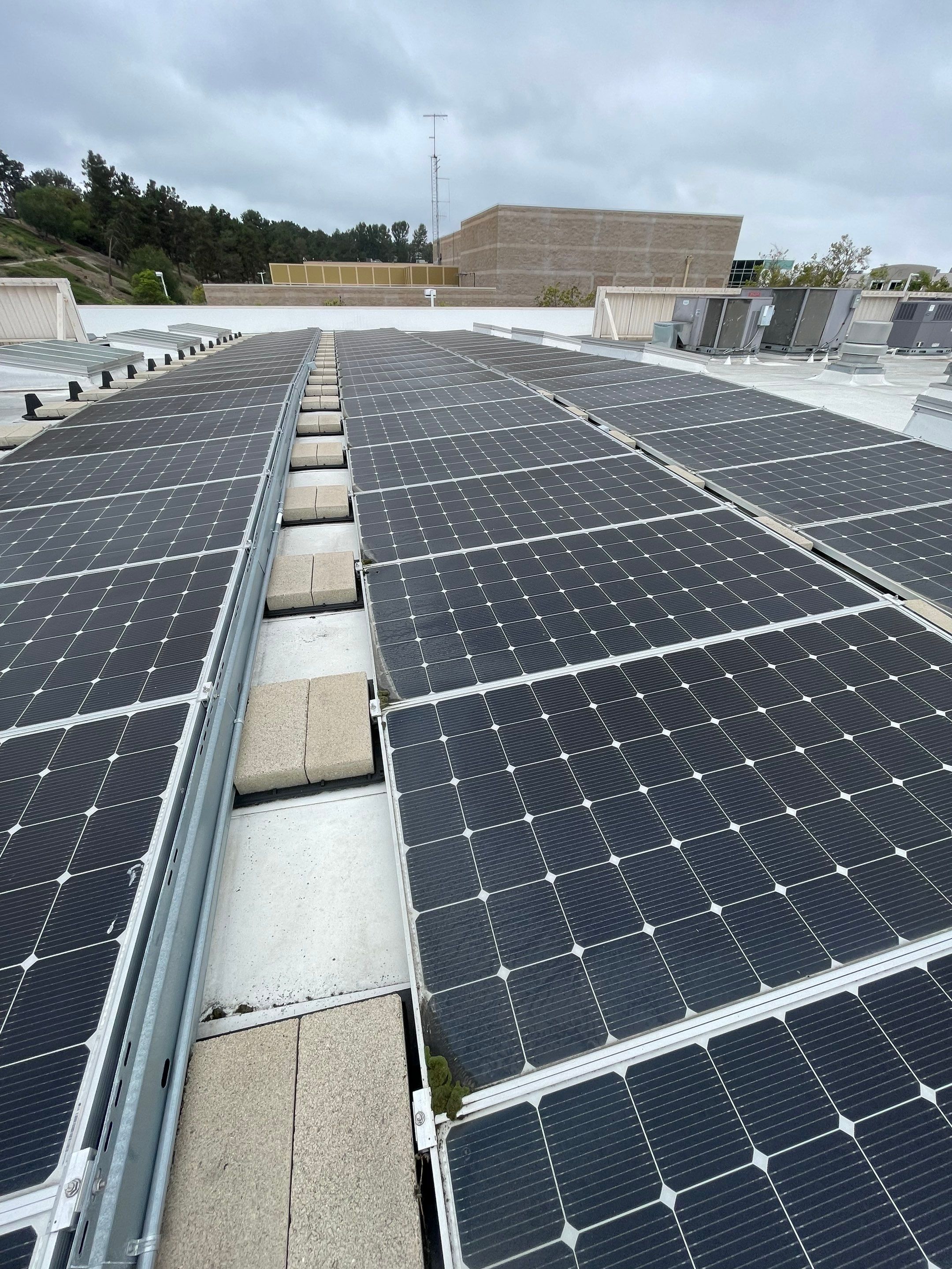 Commercial Solar Cleaning by Palm Coast Solar Cleaning