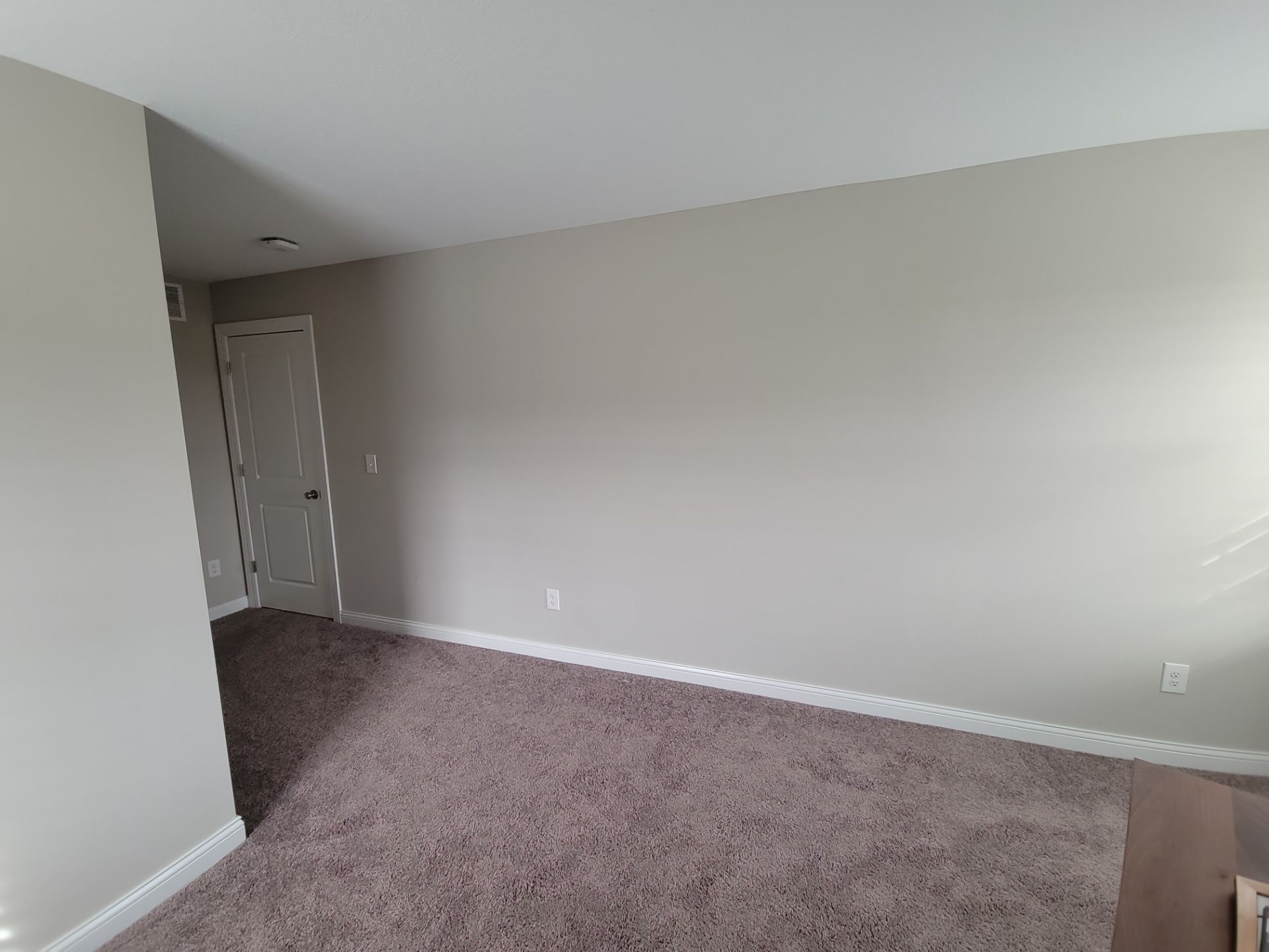 Accent Wall in Delaware, Ohio (Shawnee Hills) by Columbus Painting