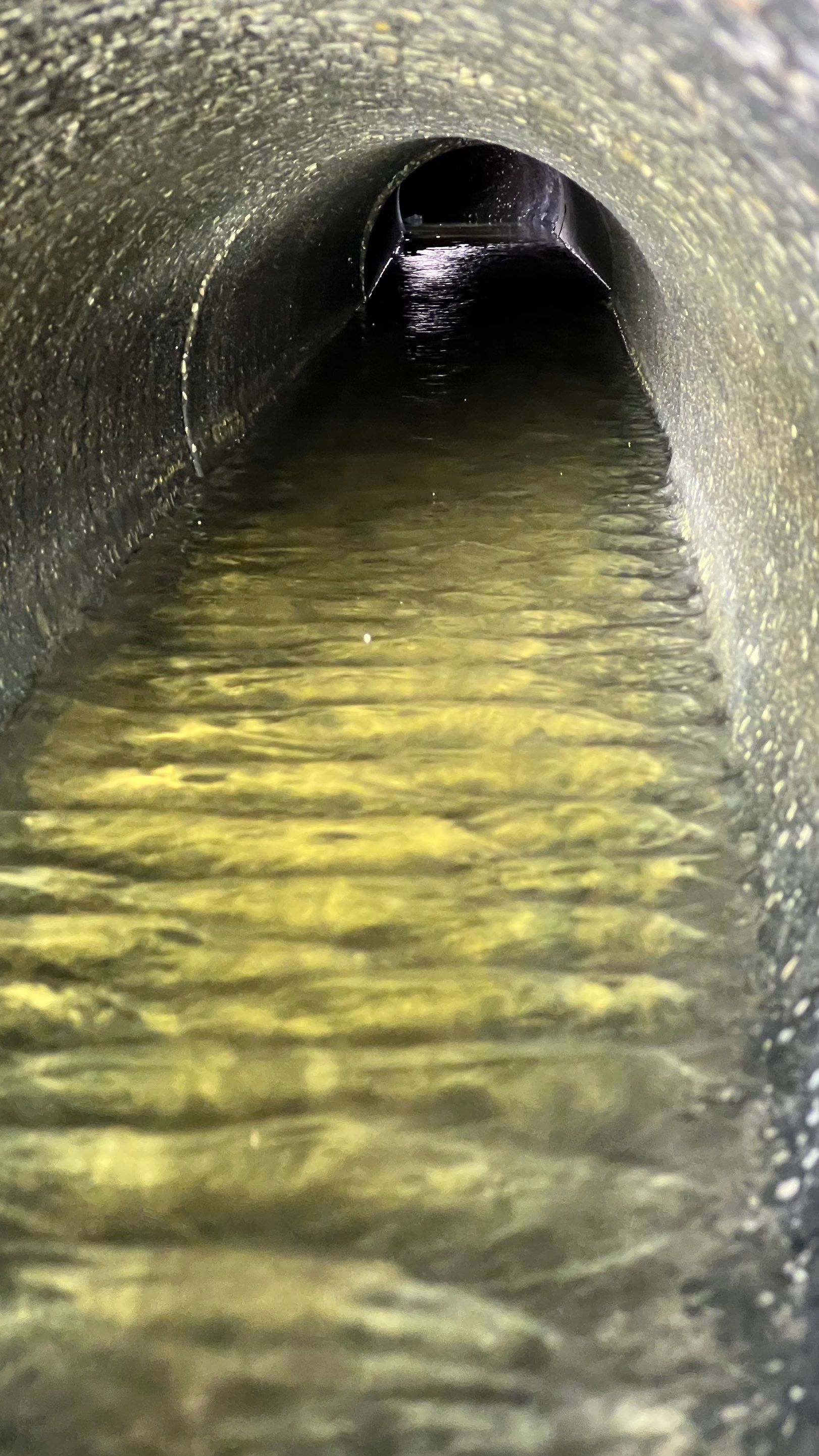 Naples Community Storm Water System Maintenance by APS Power & Water