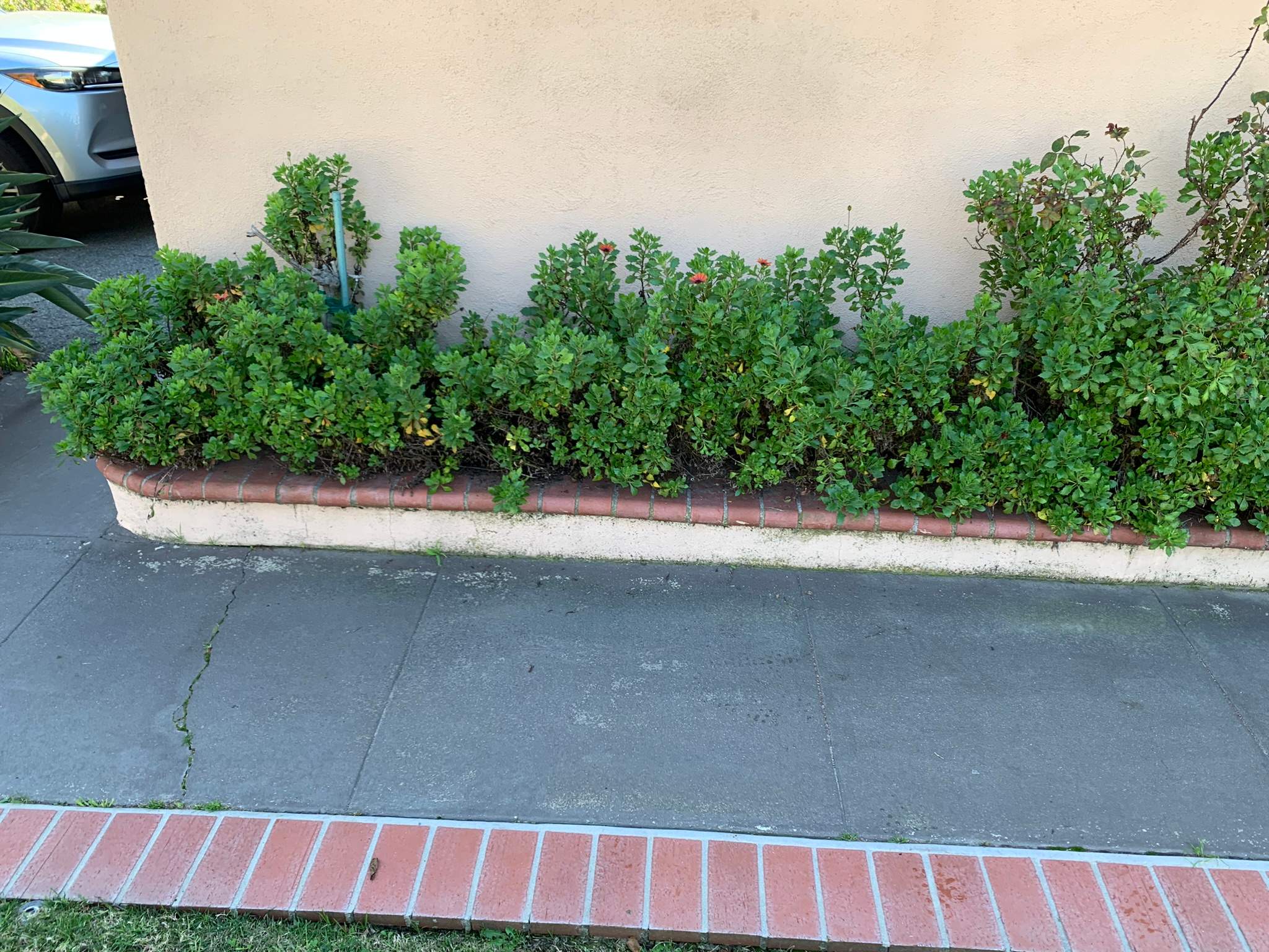 Pressure Wash using Sodium Hypochlorite and Solar Panel Cleaning in Huntington Beach by Property Cleaning Experts, LLC