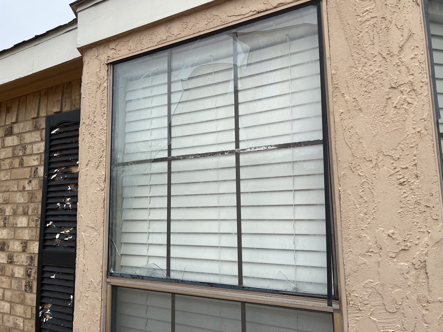 Low-E Window Replacement by First Out Roofing 