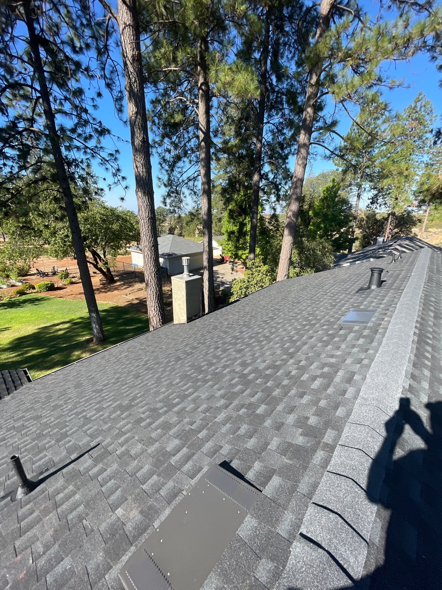 Paradise Shingle by Butte Roofing Company License #567600