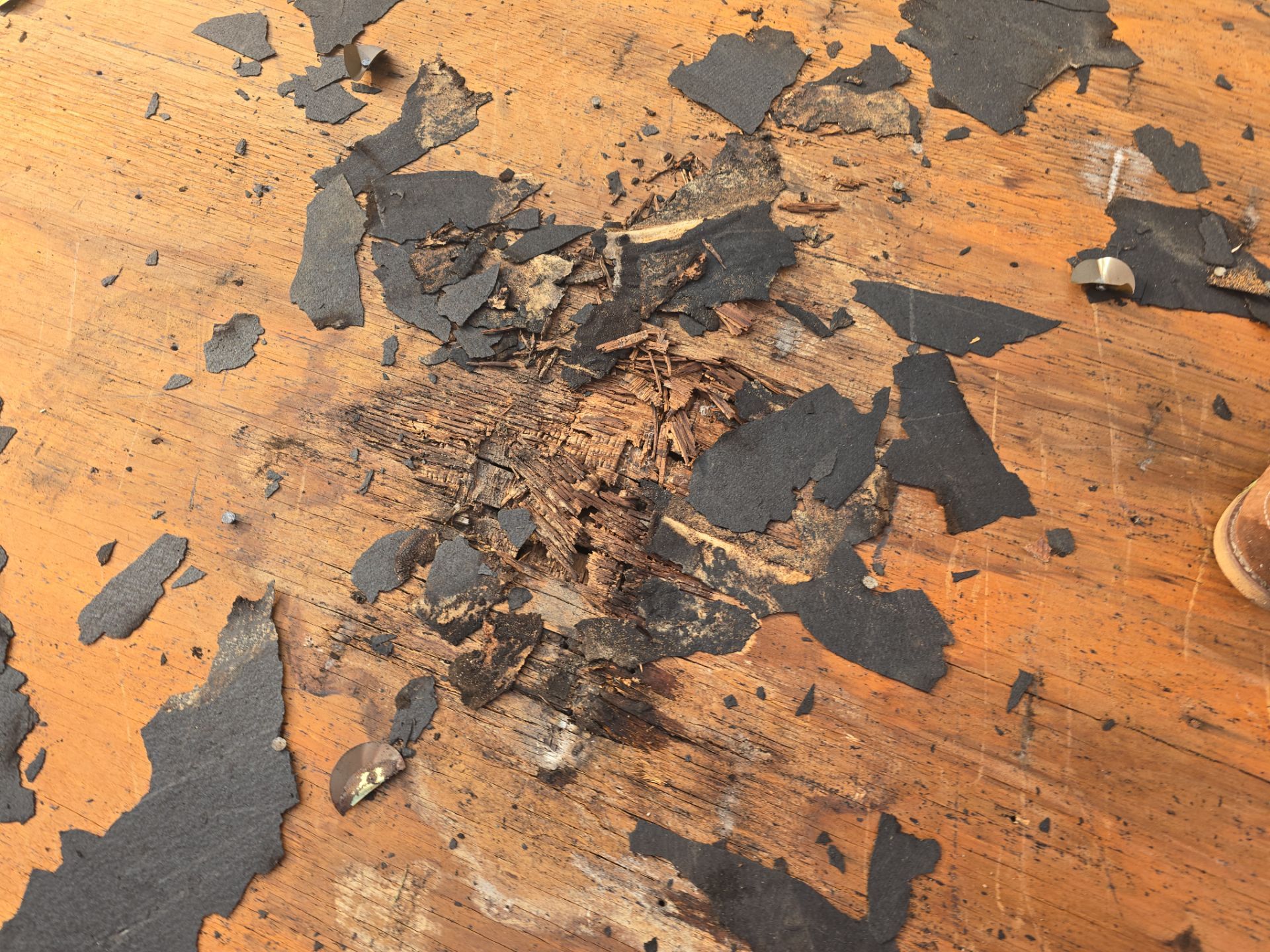 Roof Replacement Pasadena by Roof Repair Company