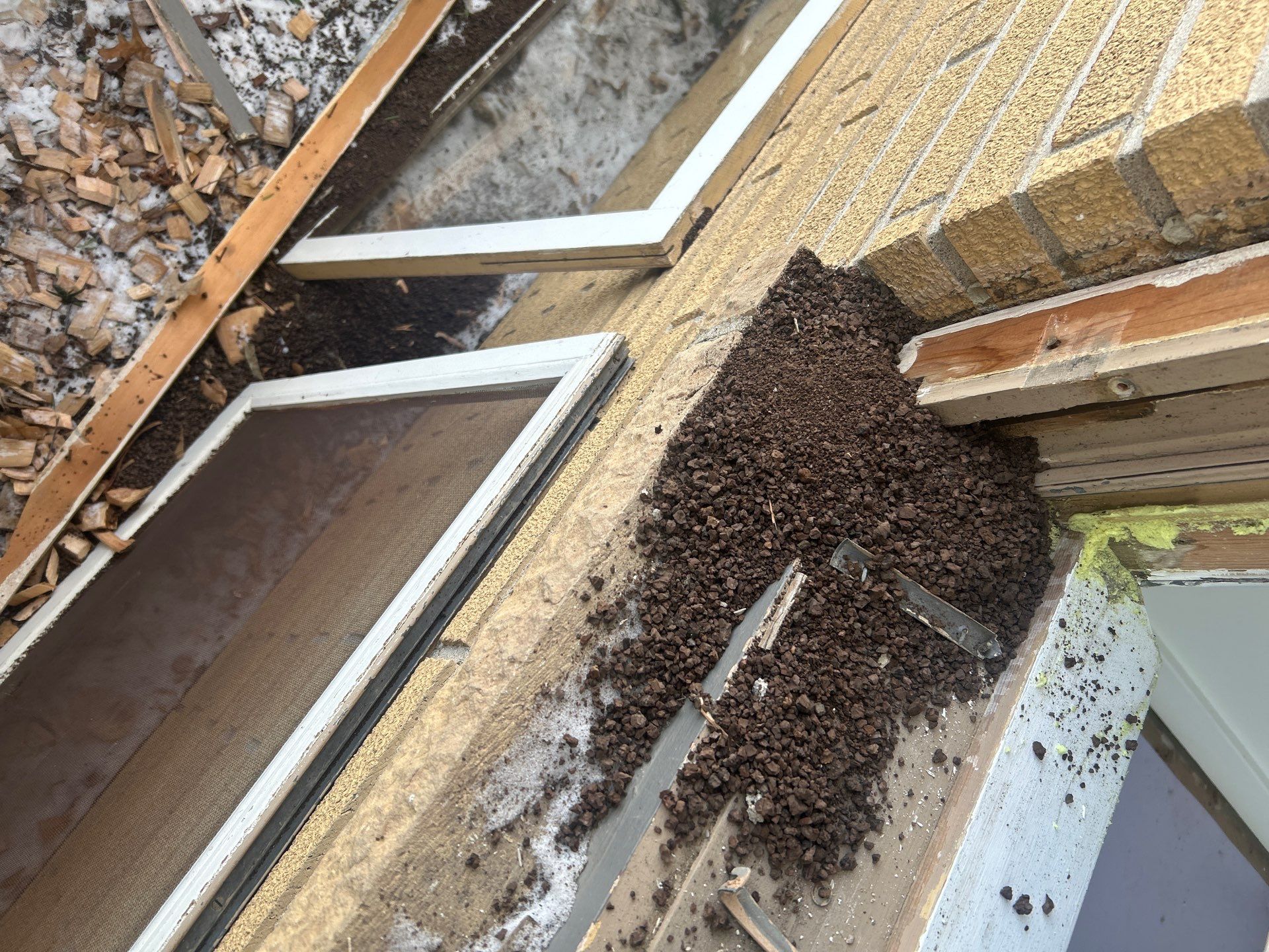 Black-Frame Pella Lifestyle Upgrade on a Partial Brick Home by United Windows and Siding LLC