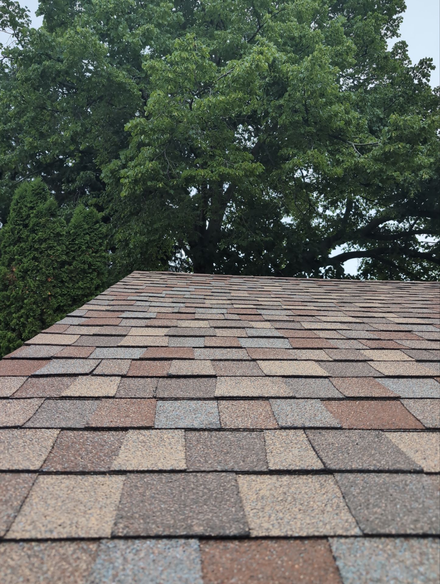 NEW COLOR SCHEME !  by Gellings Roofing & Siding