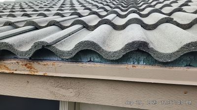 Fascia repair using New wood fascia