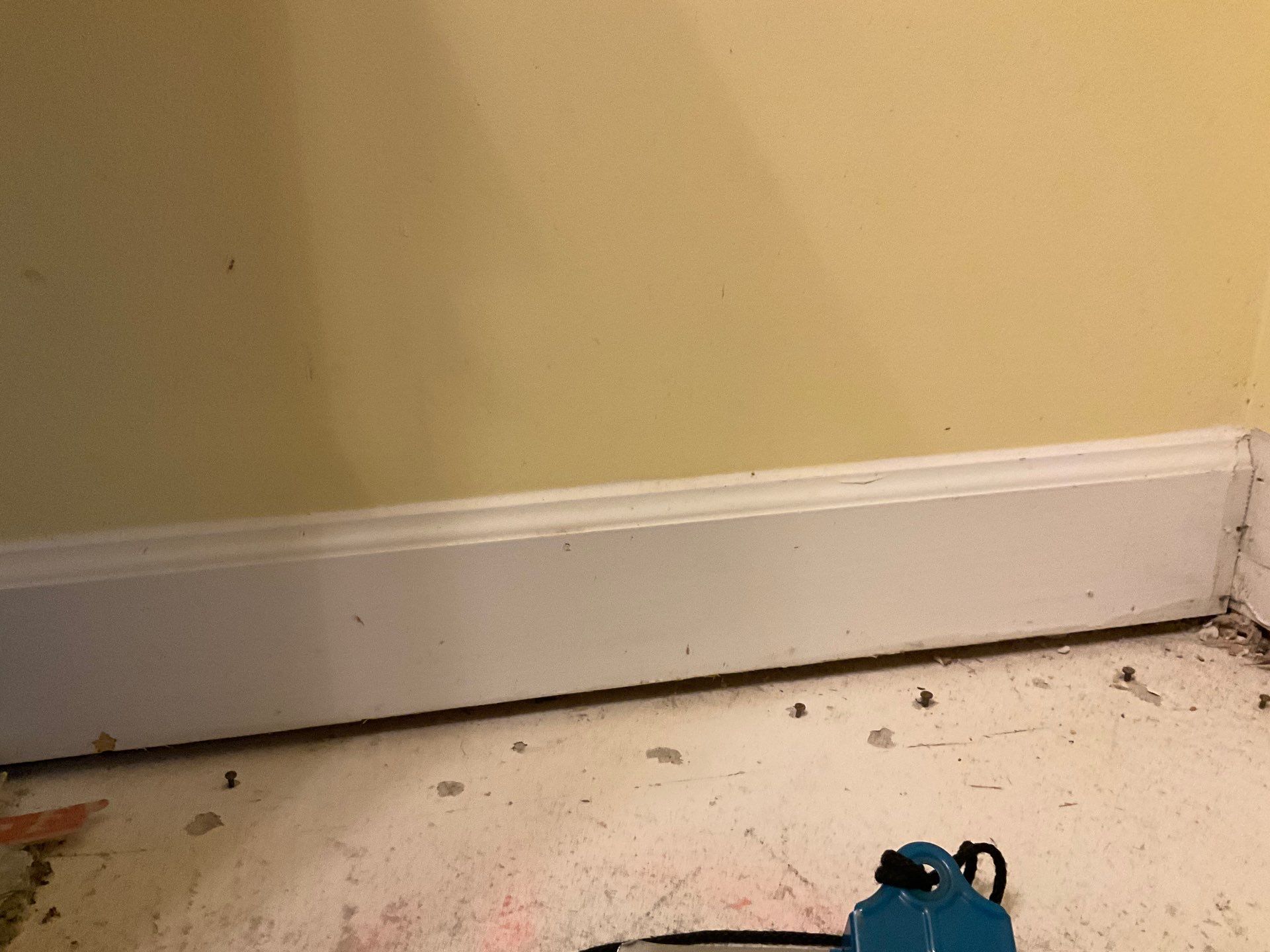 New Gutters, New Floor, New steps, New Paint job by Alpha Design Services