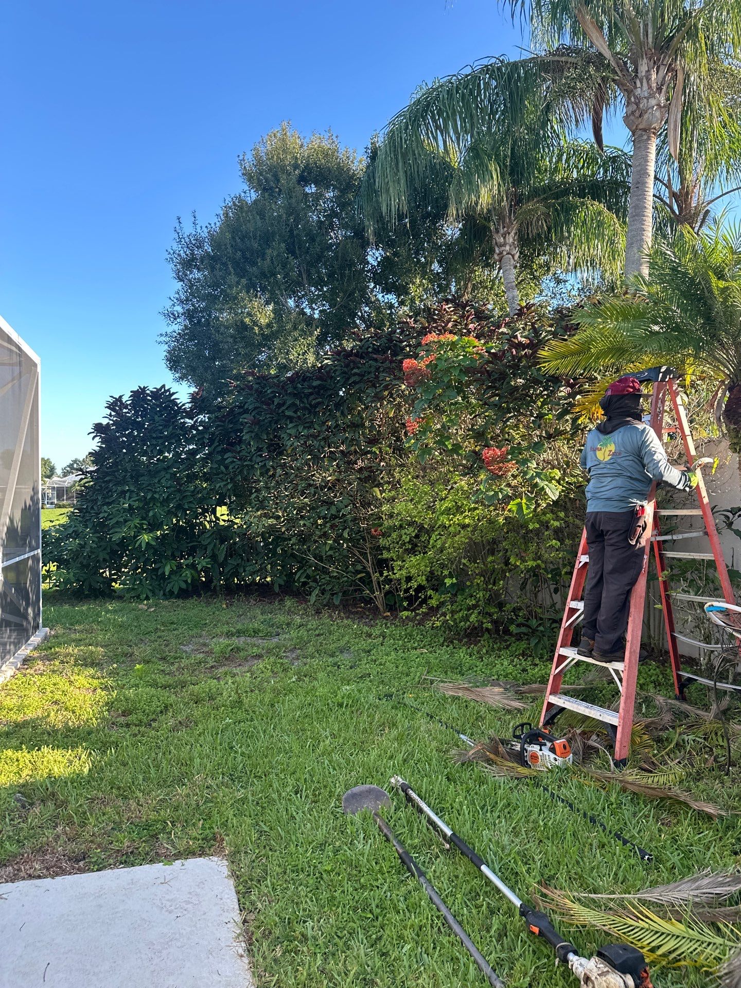🌱 Evergreen Residential Cleanup — Palm City by Alpha Zeta Enterprises Inc