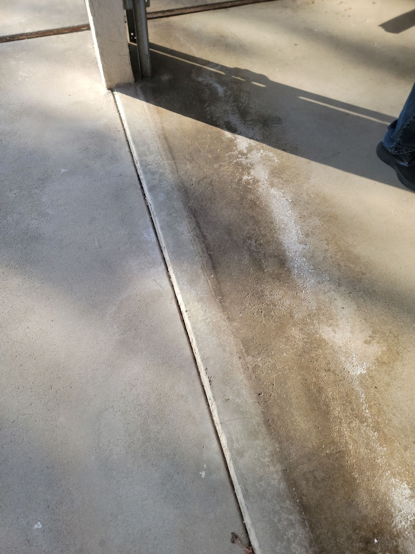 WOW, WOW, WOW by MGP Coatings