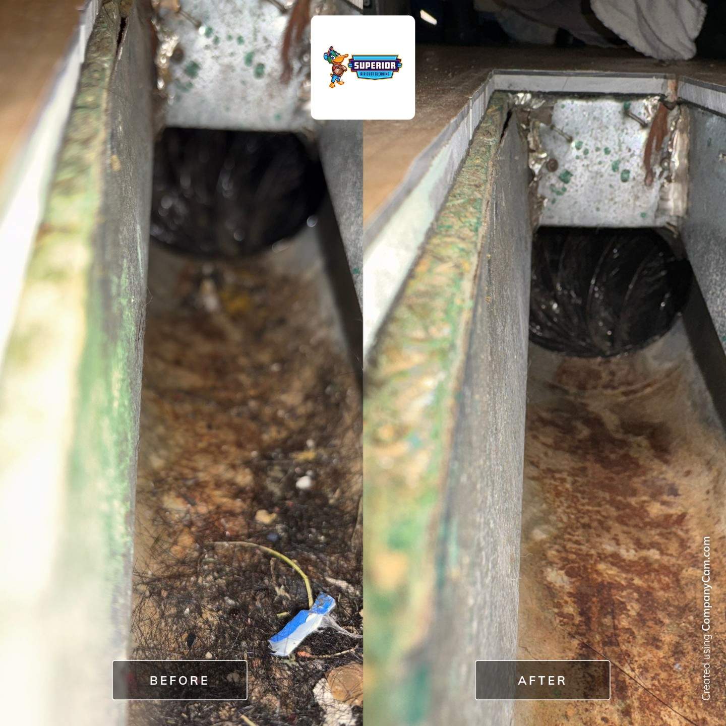 Comprehensive Air Duct Cleaning for Rochester Manufactured Home by Superior Air Duct Cleaning