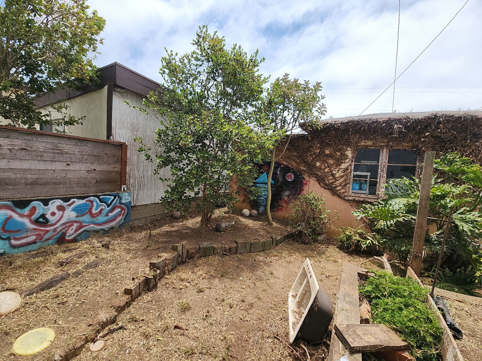San Diego Landscape Clean Up