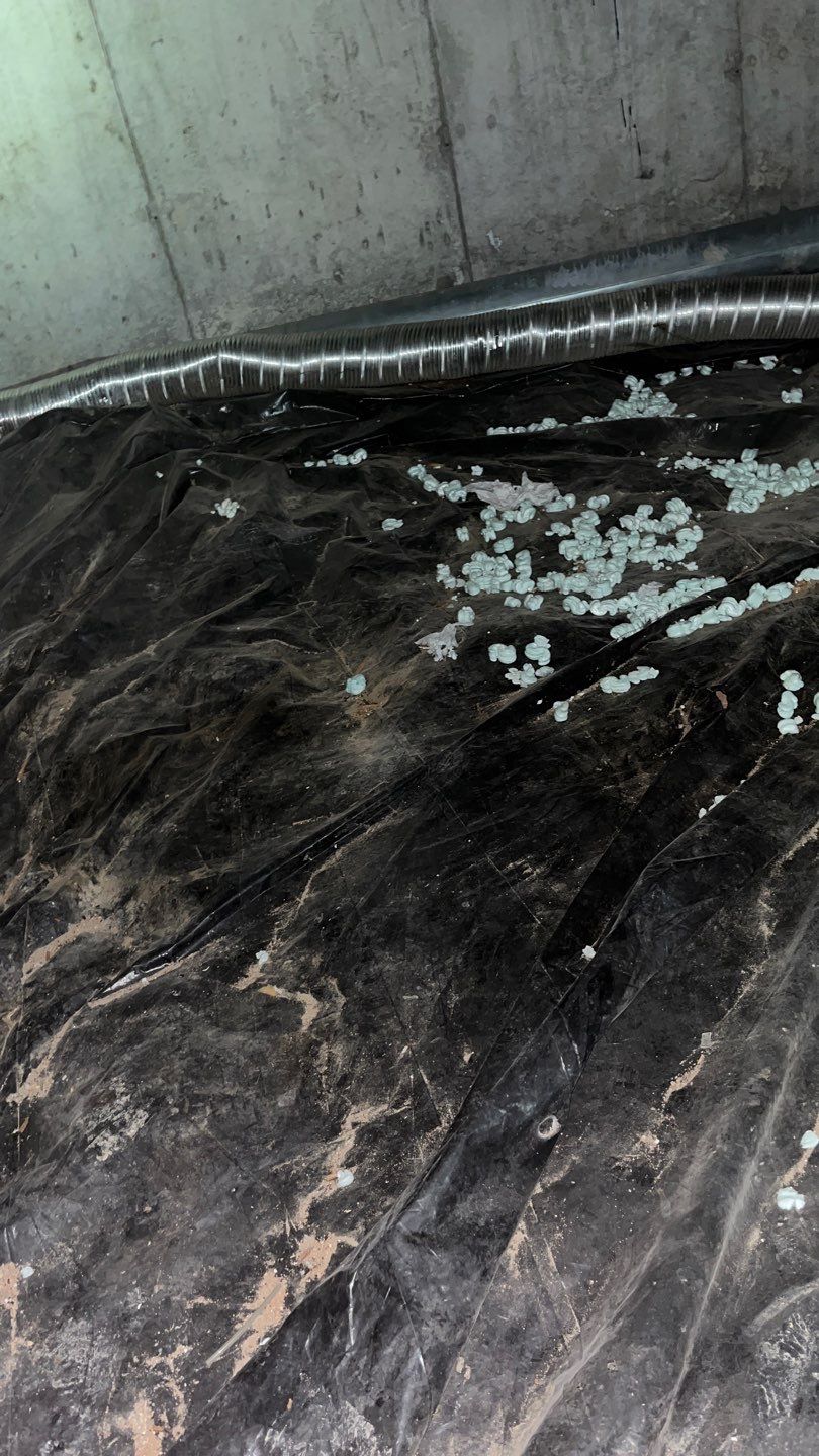 Mold Damage Project in Littleton by Accountable Home Services