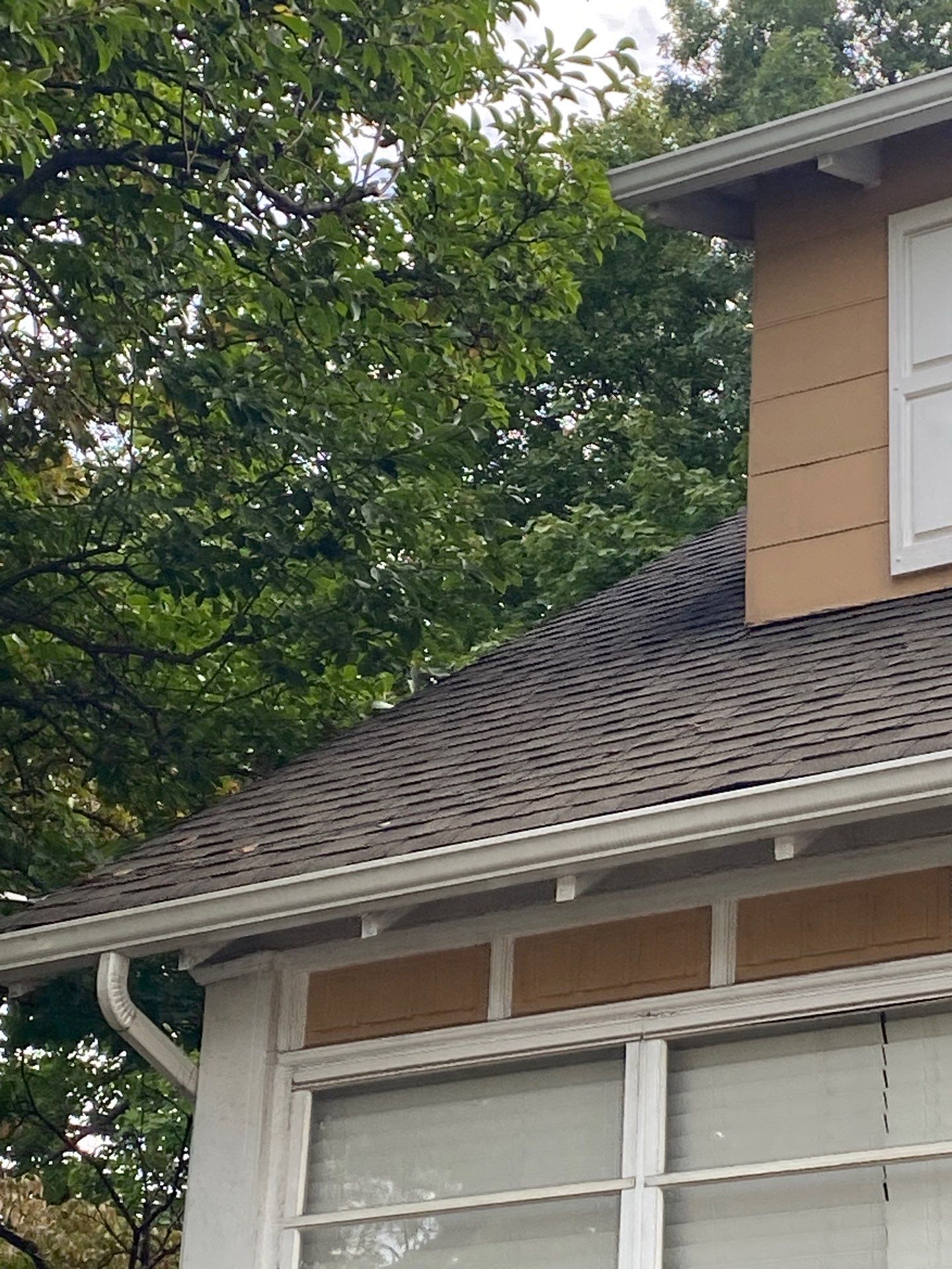 Autumn Harvest Shingles by Reimagine Roofing