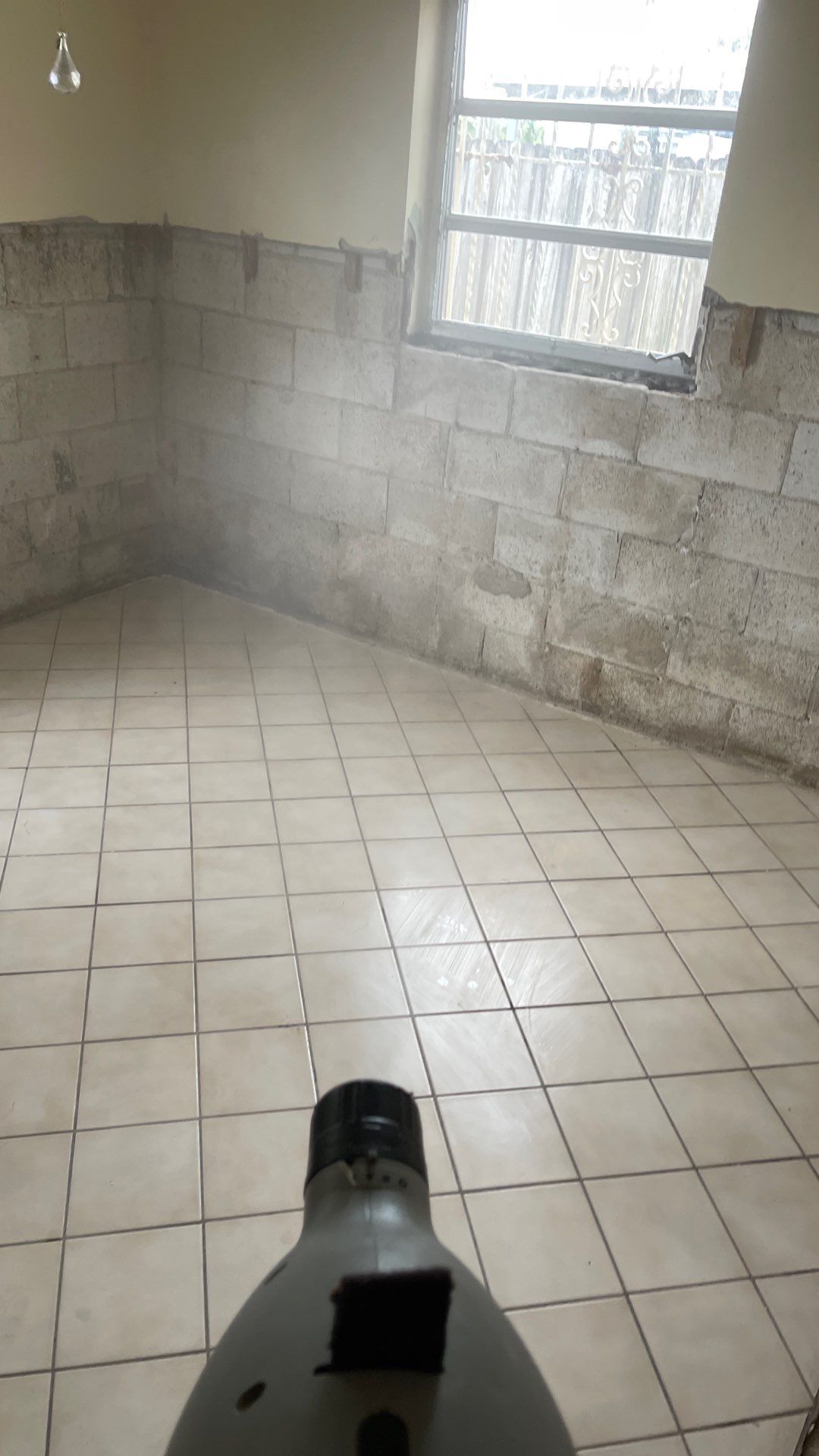 Mold Remediation  by THE RAPID TEAM