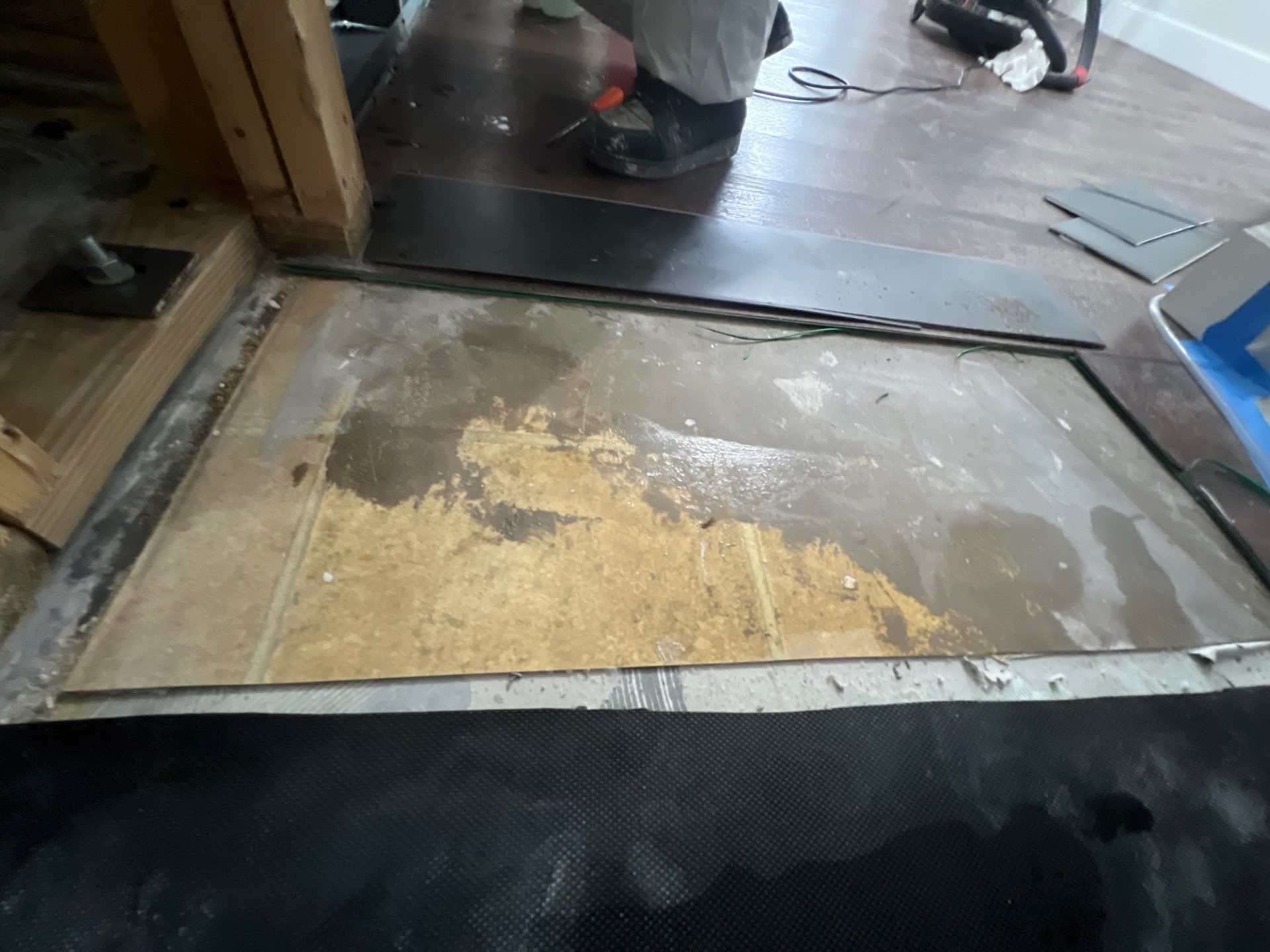 Stansell - water and mold photos  by THE RAPID TEAM