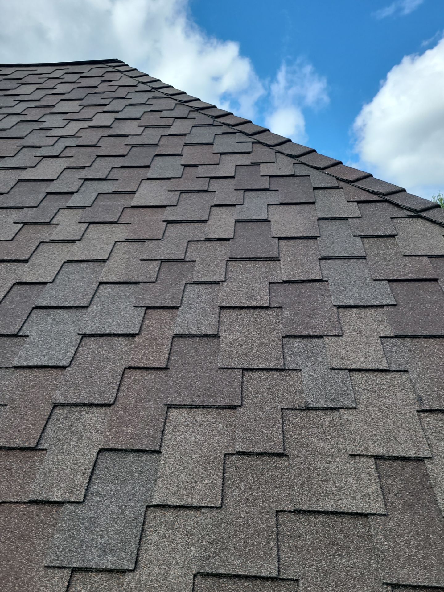 Windsor Designer Shingles  by Rhino Roofing LLC