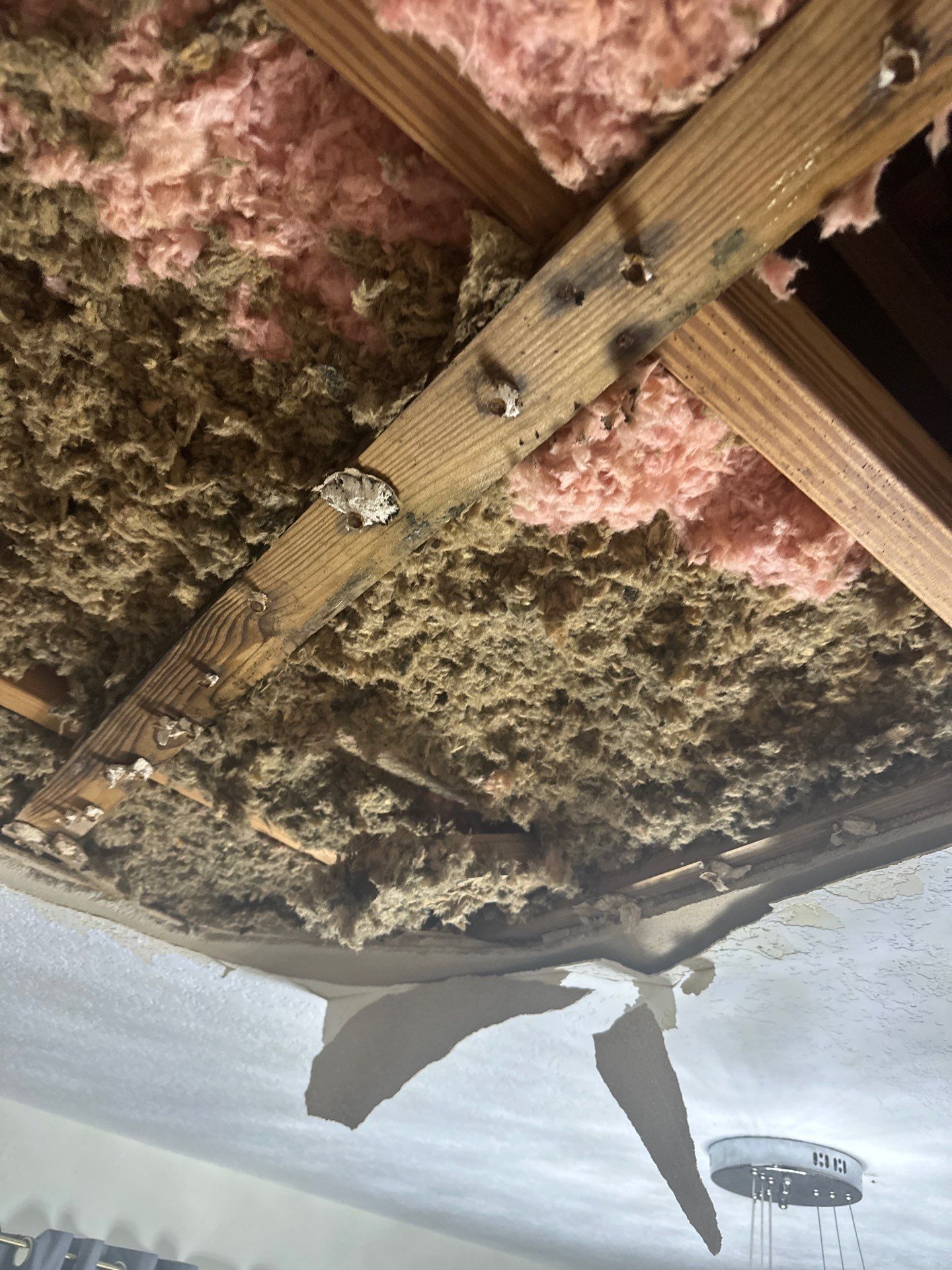 Water Damage Claim in Miami by FLAPA & KeyStone