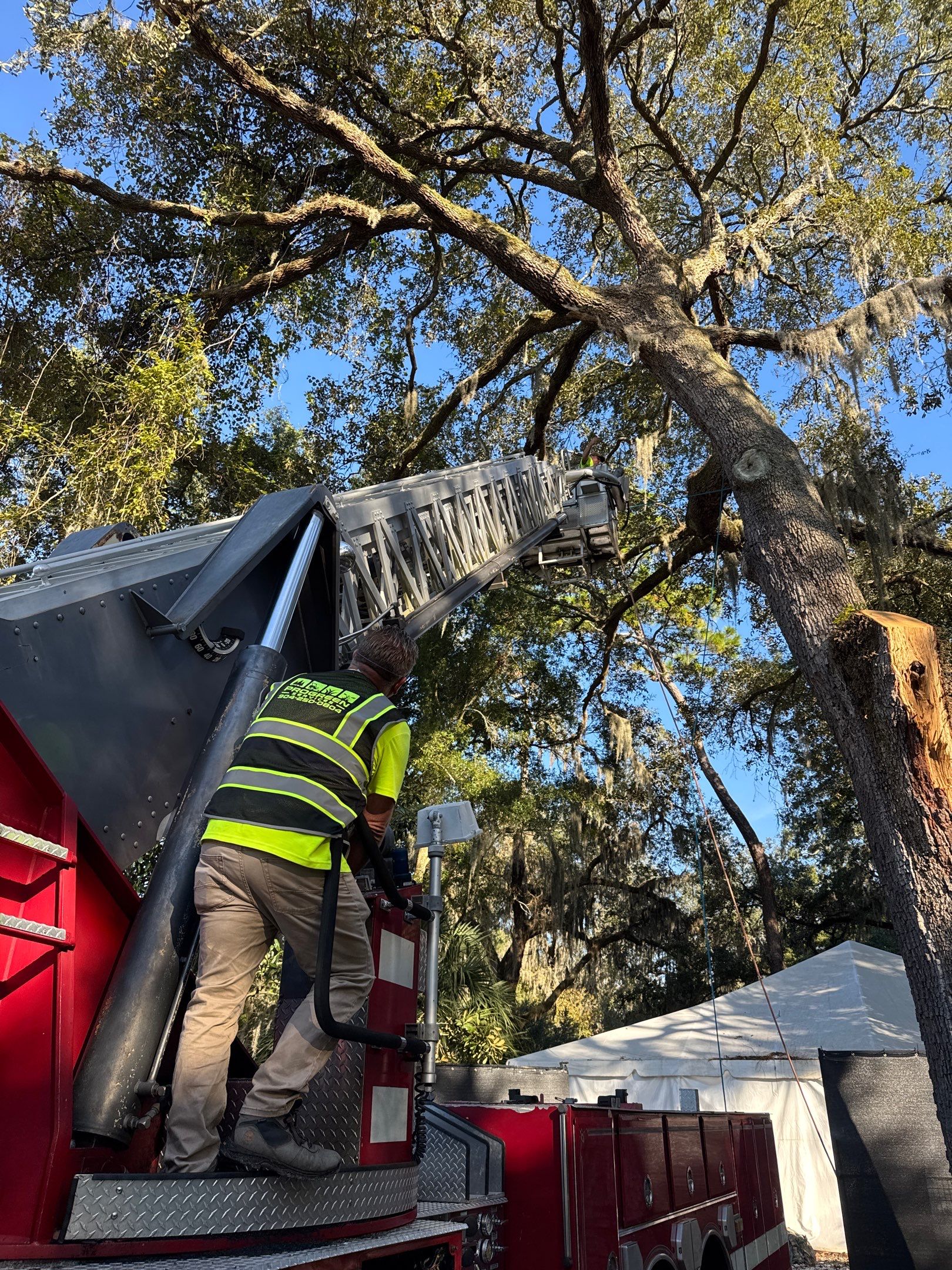 Episcopal | Large Tree Removal by ProGreen Services