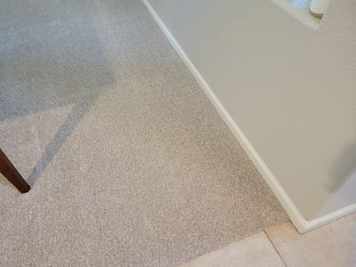 Carpet Cleaning of Grease Spots