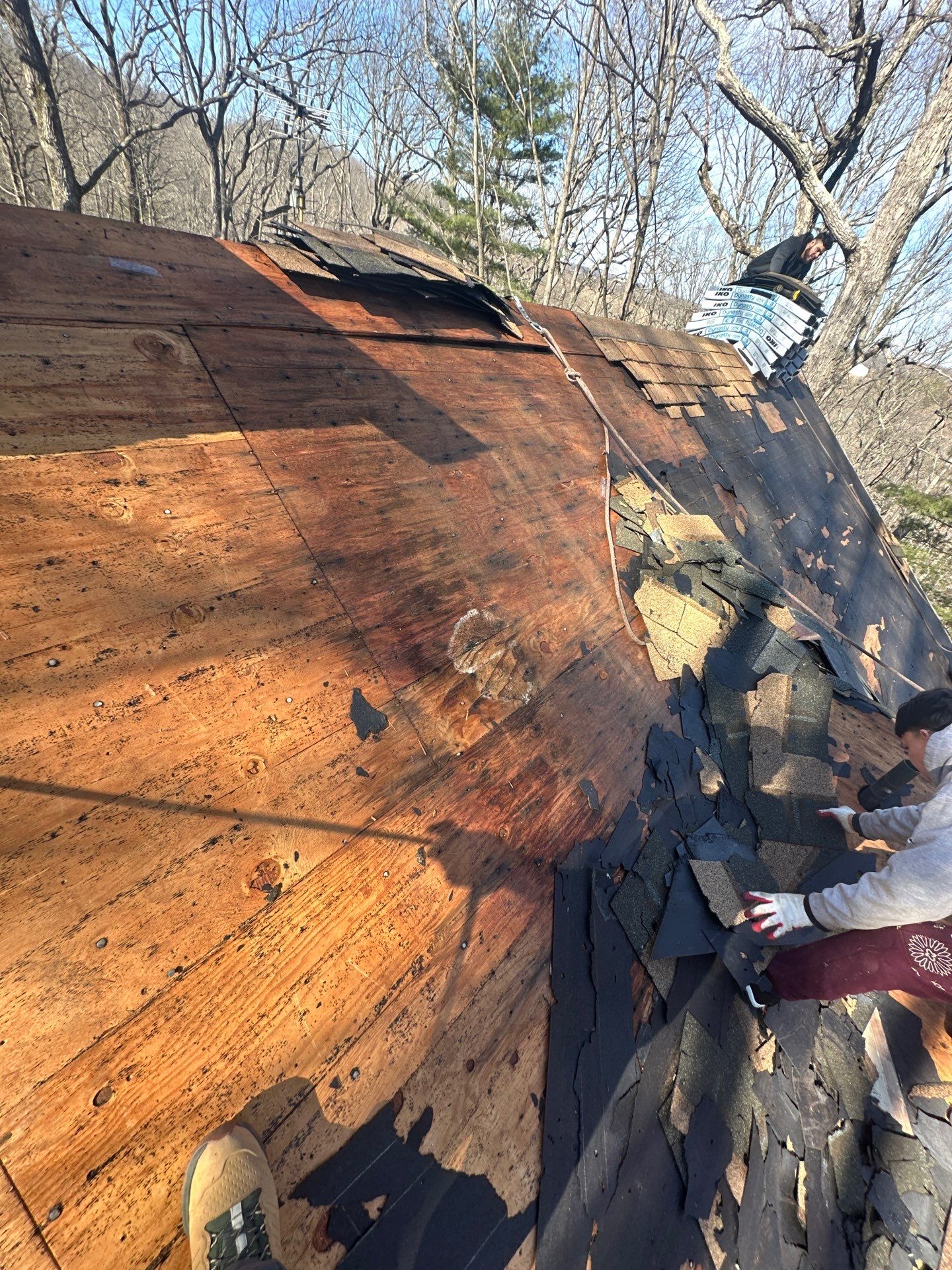 Architectural Shingle Roof Replacement in Westminster, MD • Nancy R. by Seipp Roofing, LLC