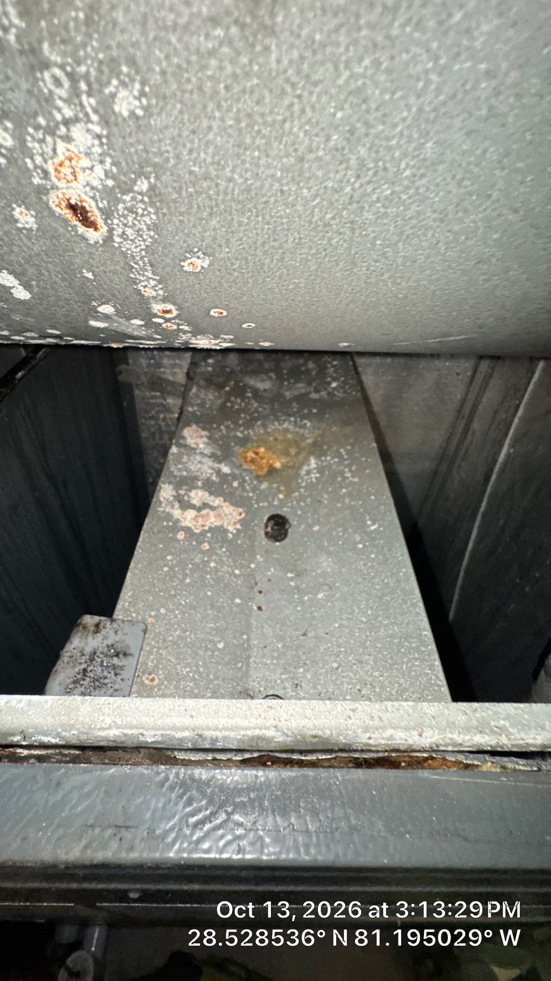 Air Duct Cleaning & Lining Restoration — Orlando by Hygienic Air, Inc