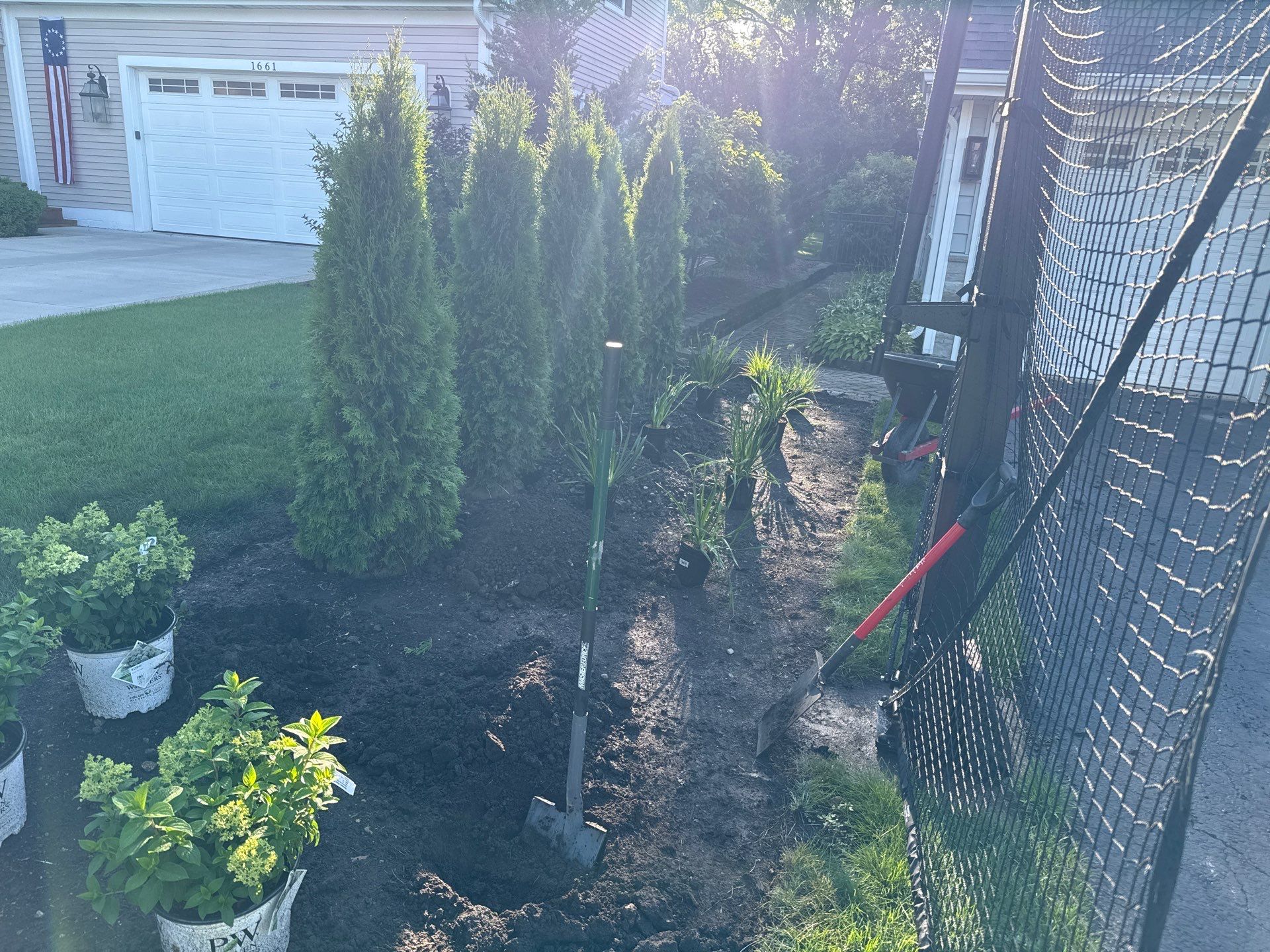 Anne P. - Arlington Heights, IL by A&N 
