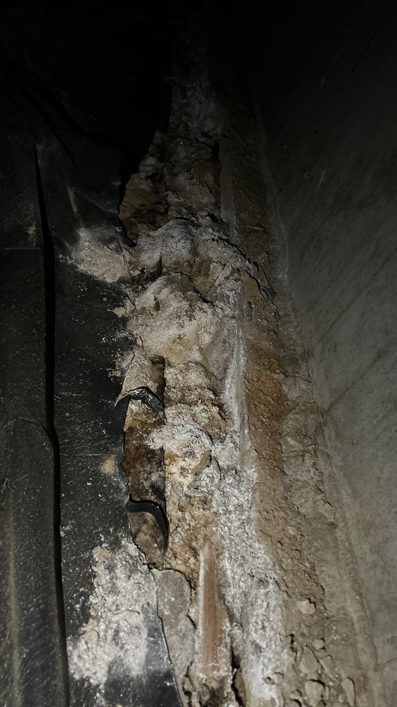 Mold Damage by Accountable Home Services