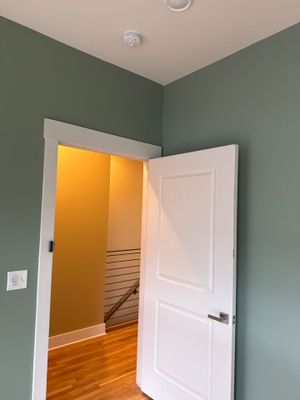 Patrick  bright colors