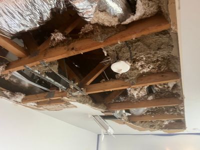 Windstorm Damage & Multi-Room Water Mitigation in St. Petersburg