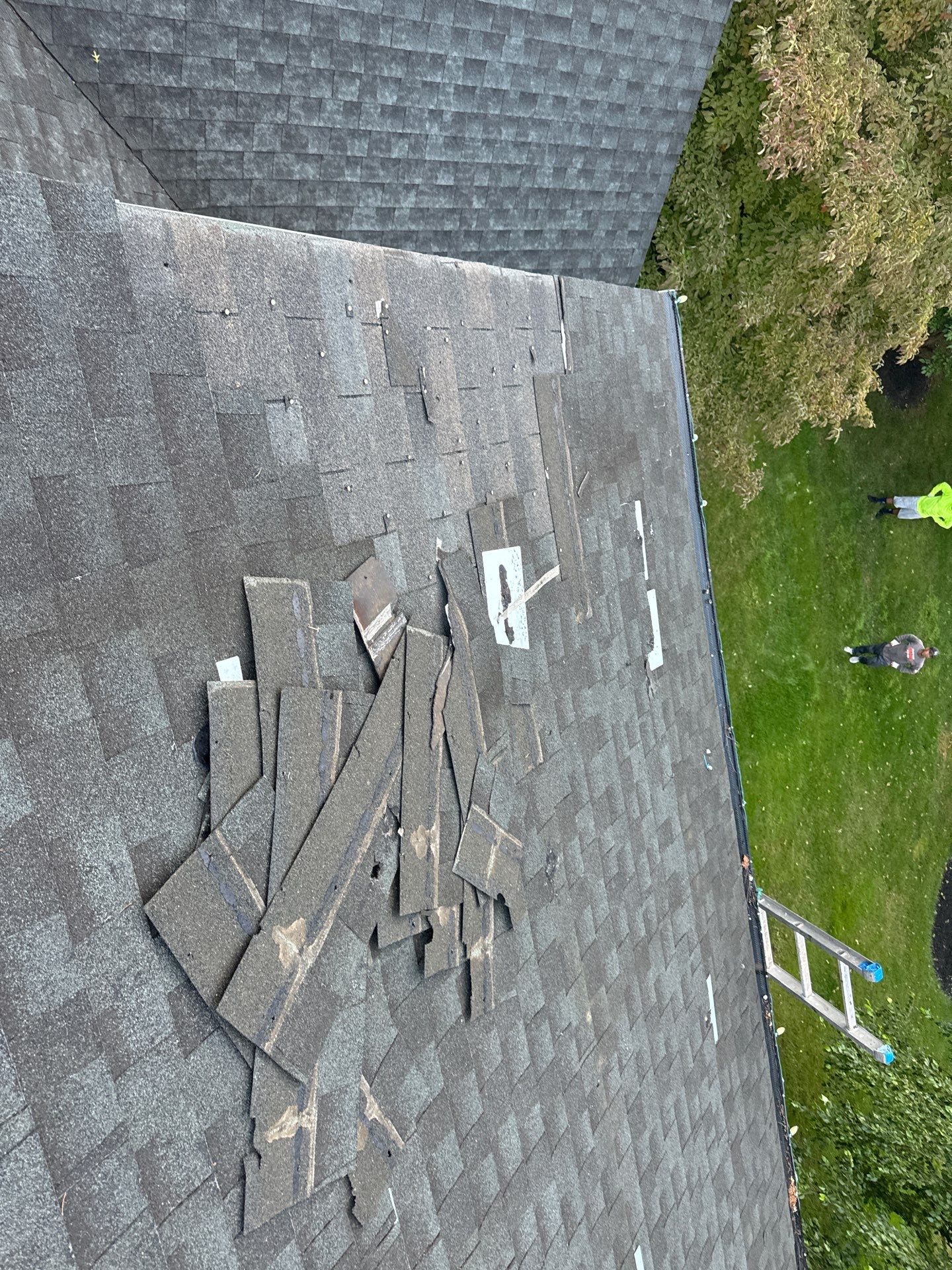 Silver Birch Shingles by Reimagine Roofing