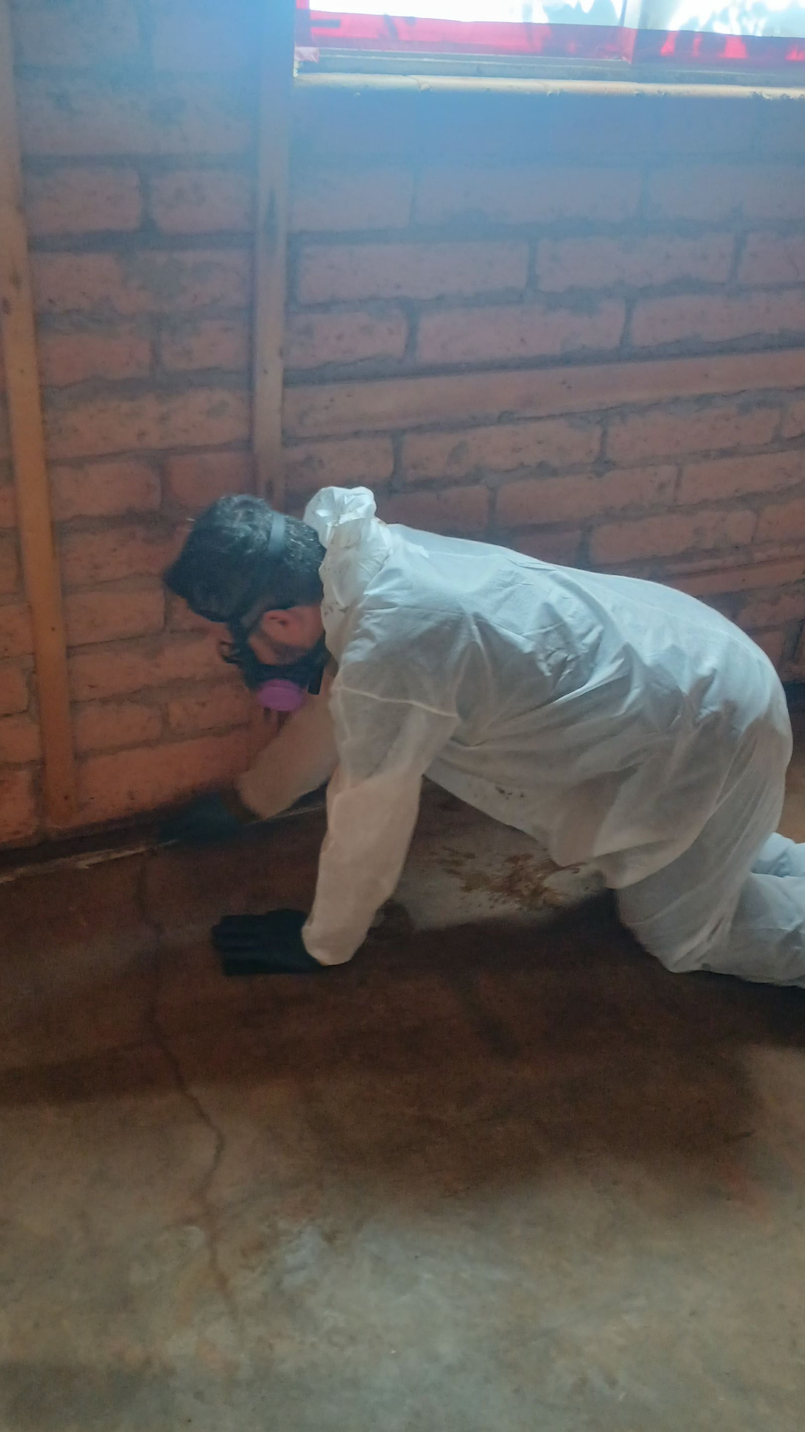 Project in Chandler, AZ by Desert Valley Abatement, LLC