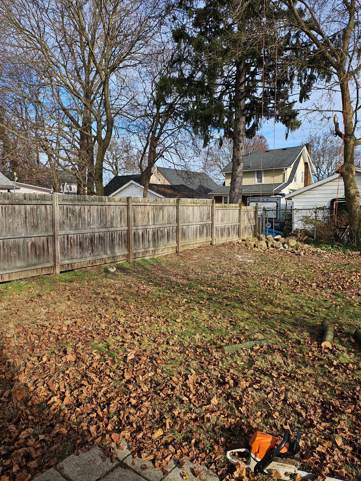 Tree Trimming using Tree Pruing by Mike Jones & Sons Tree Service LLC 
