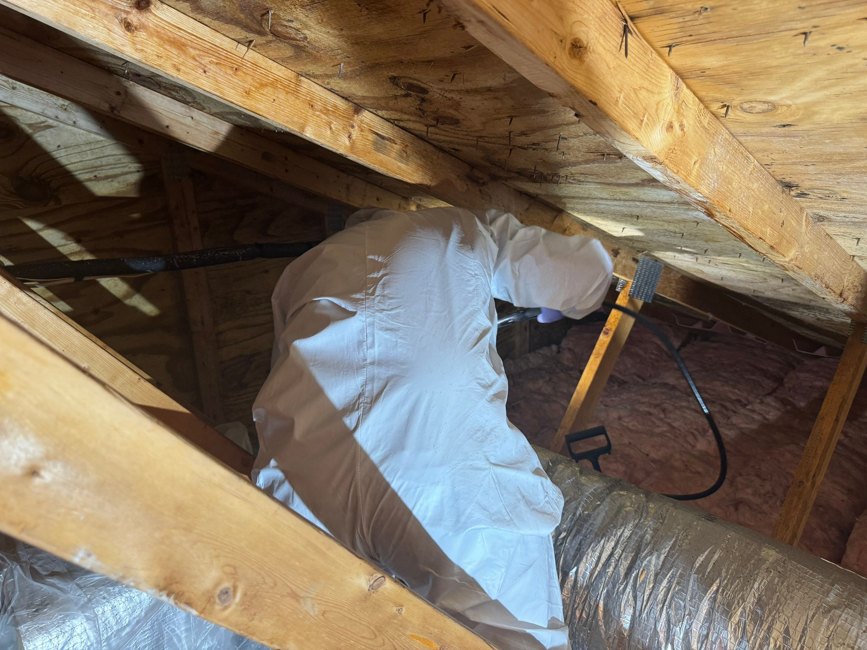 Attic Mold Remediation by Home Guarantee, LLC