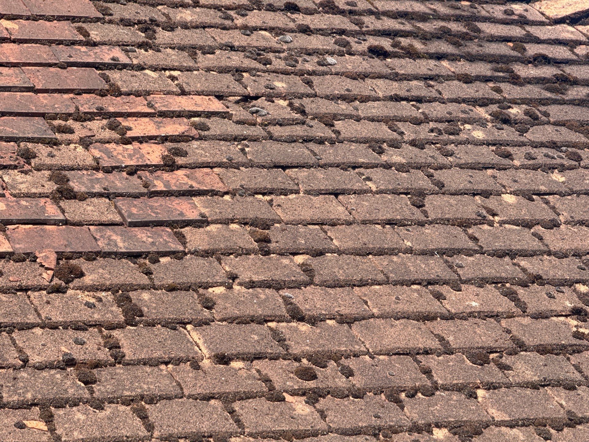 Roof Clean - Gutter Clean - Biocide Treatment by Ges Exterior Cleaning ltd