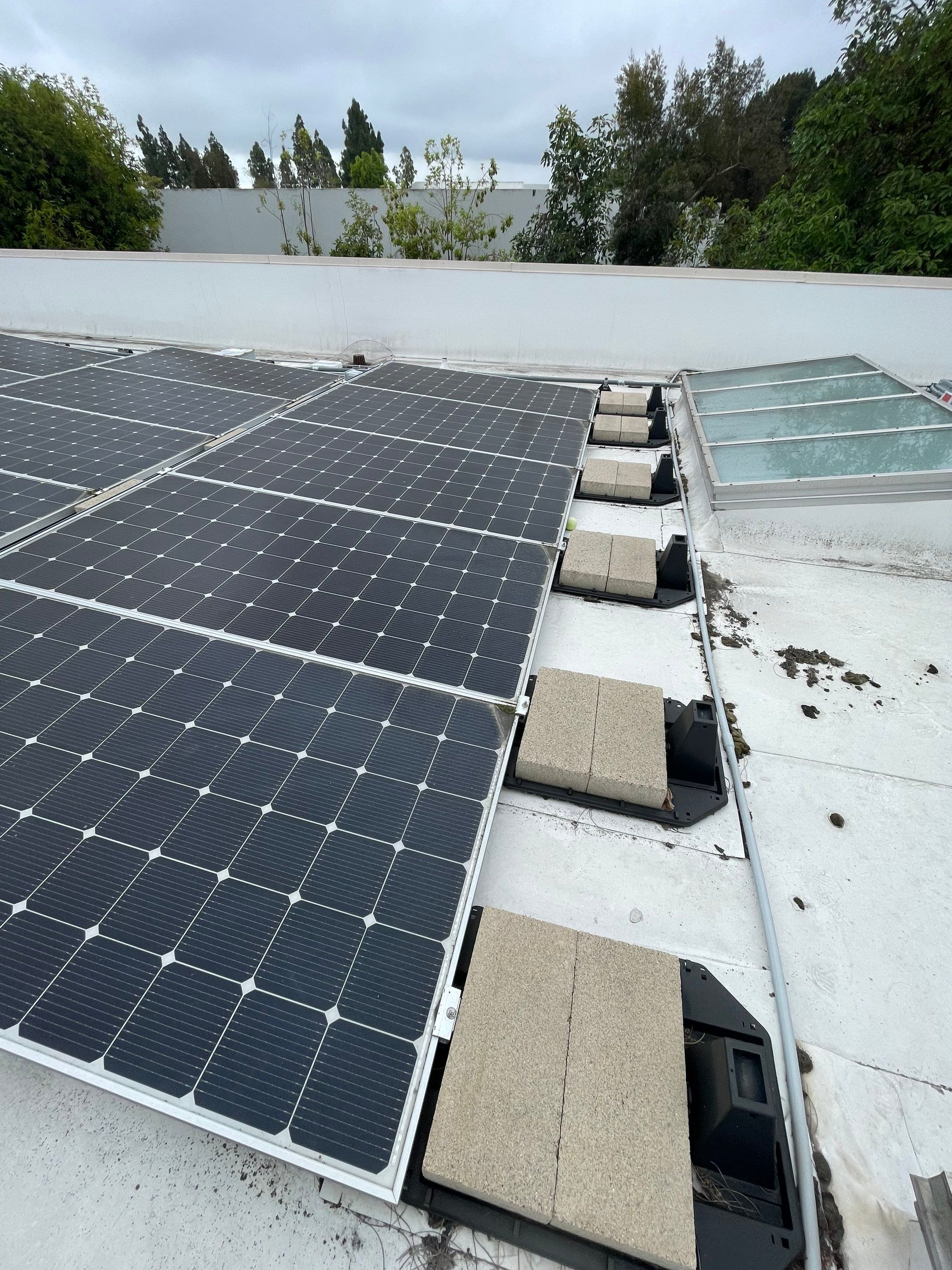 Commercial Solar Cleaning by Palm Coast Solar Cleaning