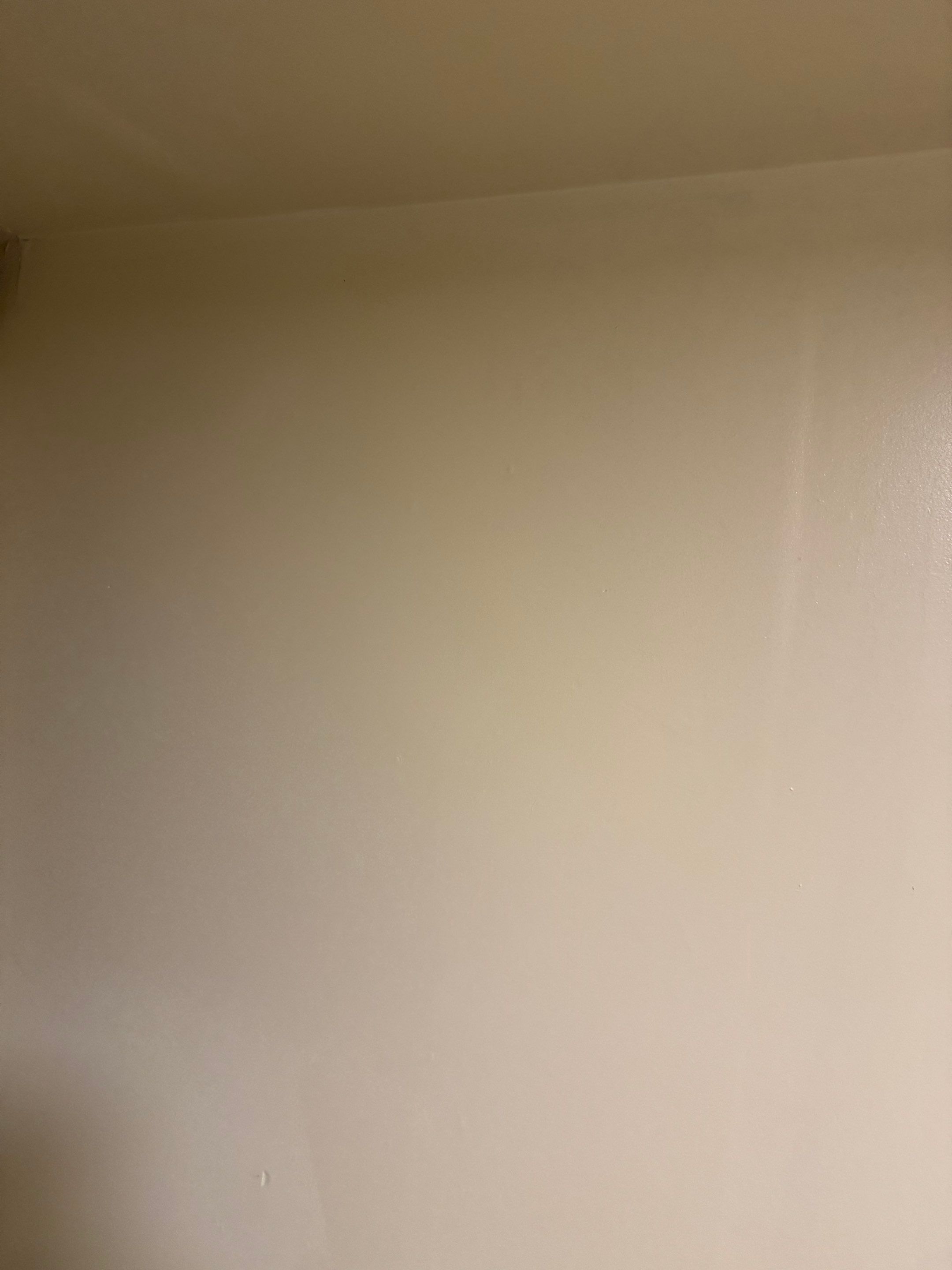Painting by YVR Construction Group