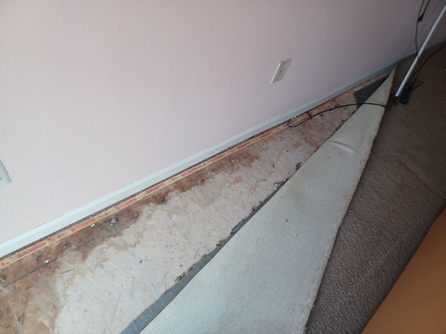 Project in New Haven by EzDry Water Mitigation & Property Restoration