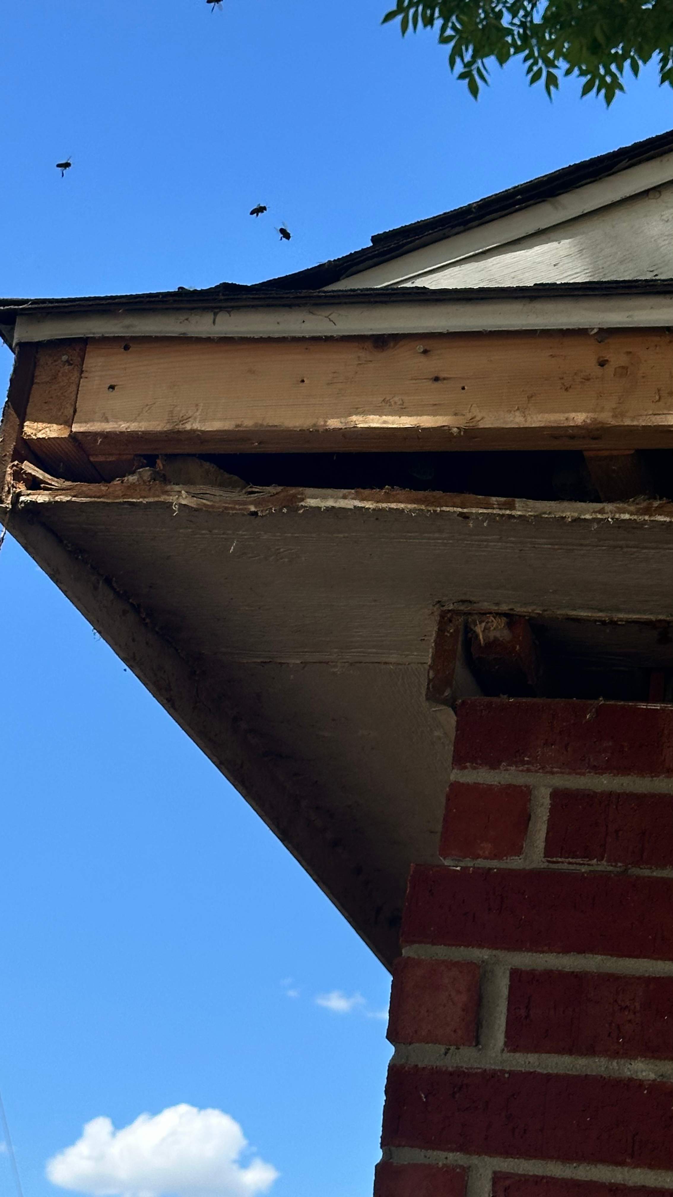 Soffits! by Rockwall Honey Bee Company