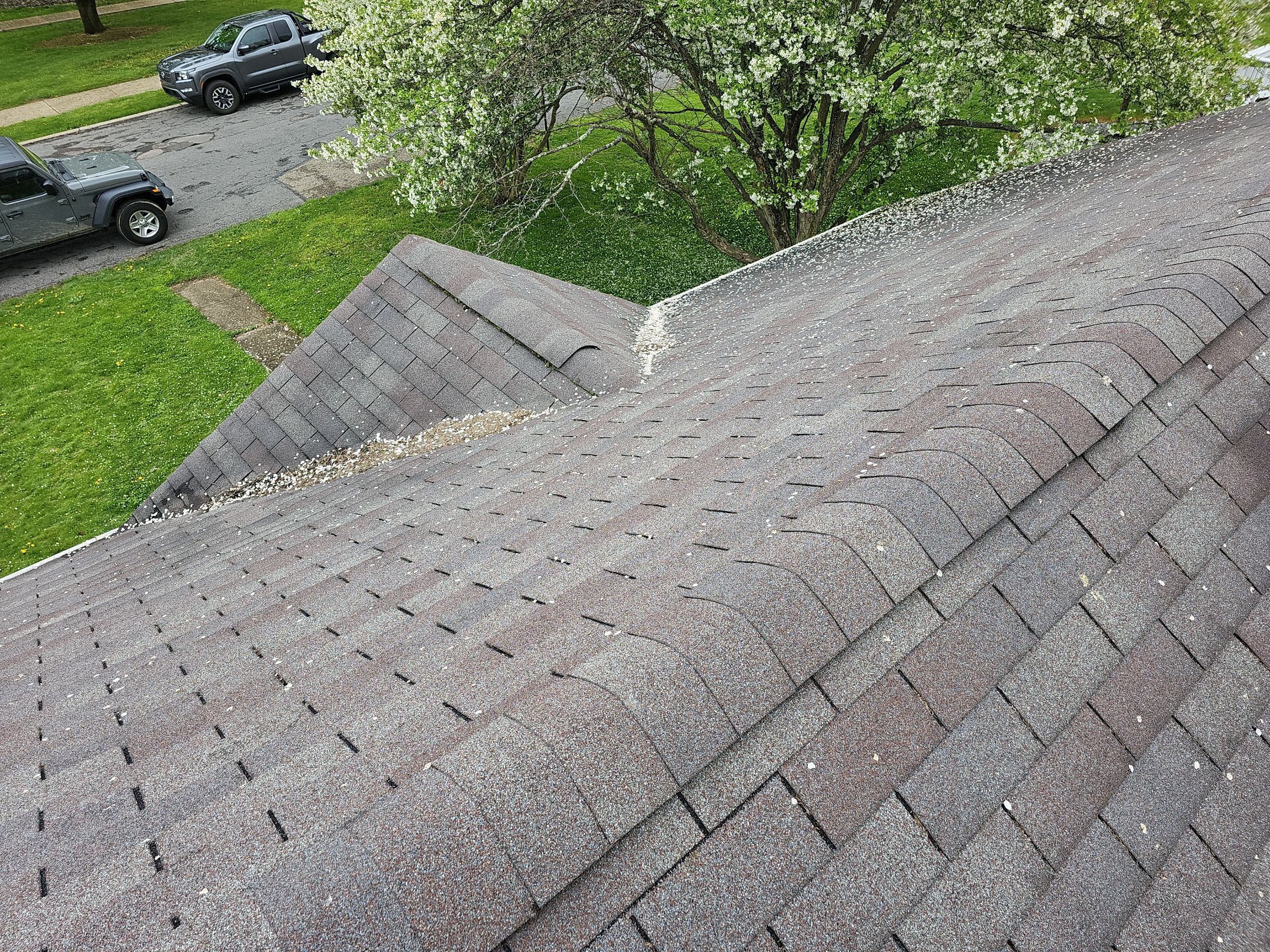 ATLAS PINNACLE COLOR: MORNING HARVEST by Eagle Eye Roofing