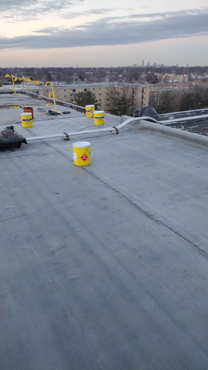 Commercial flat roof parma by Absolute Roofing and Construction