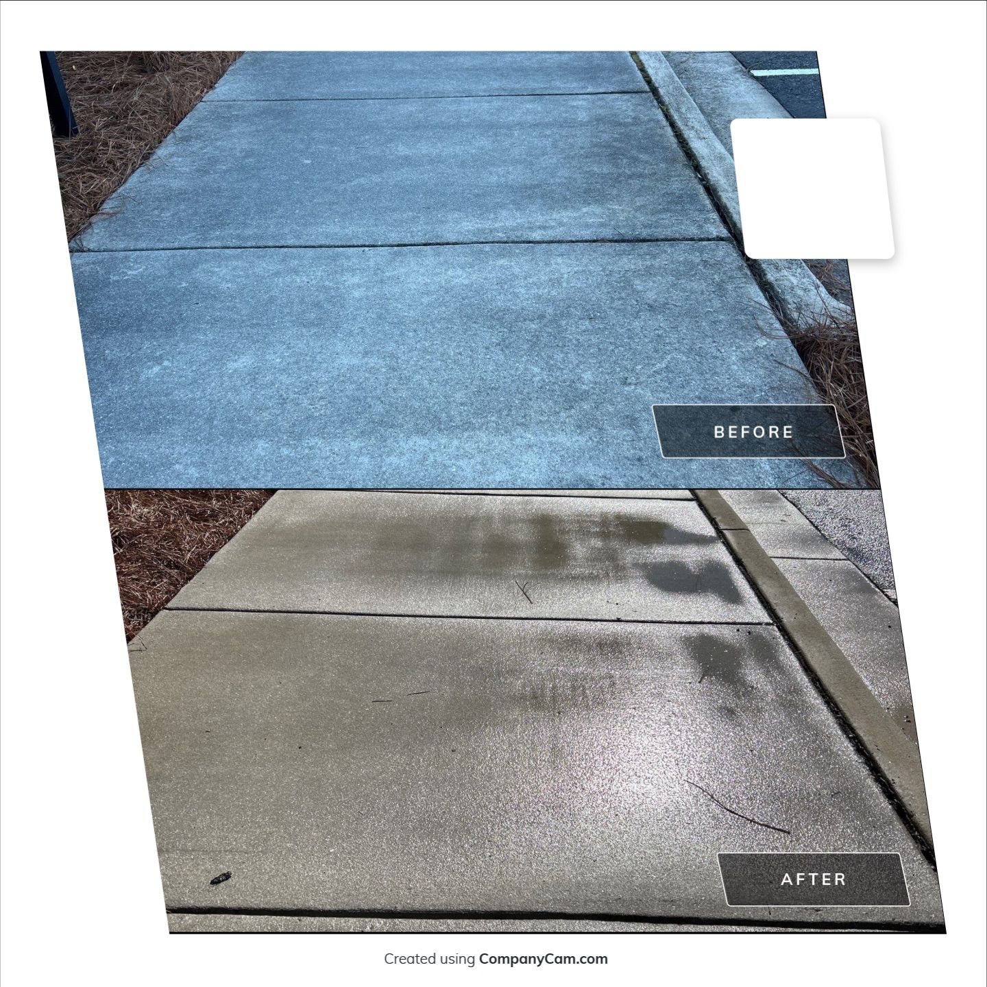 Concrete Cleaning in Hampstead by Shark Power Washing