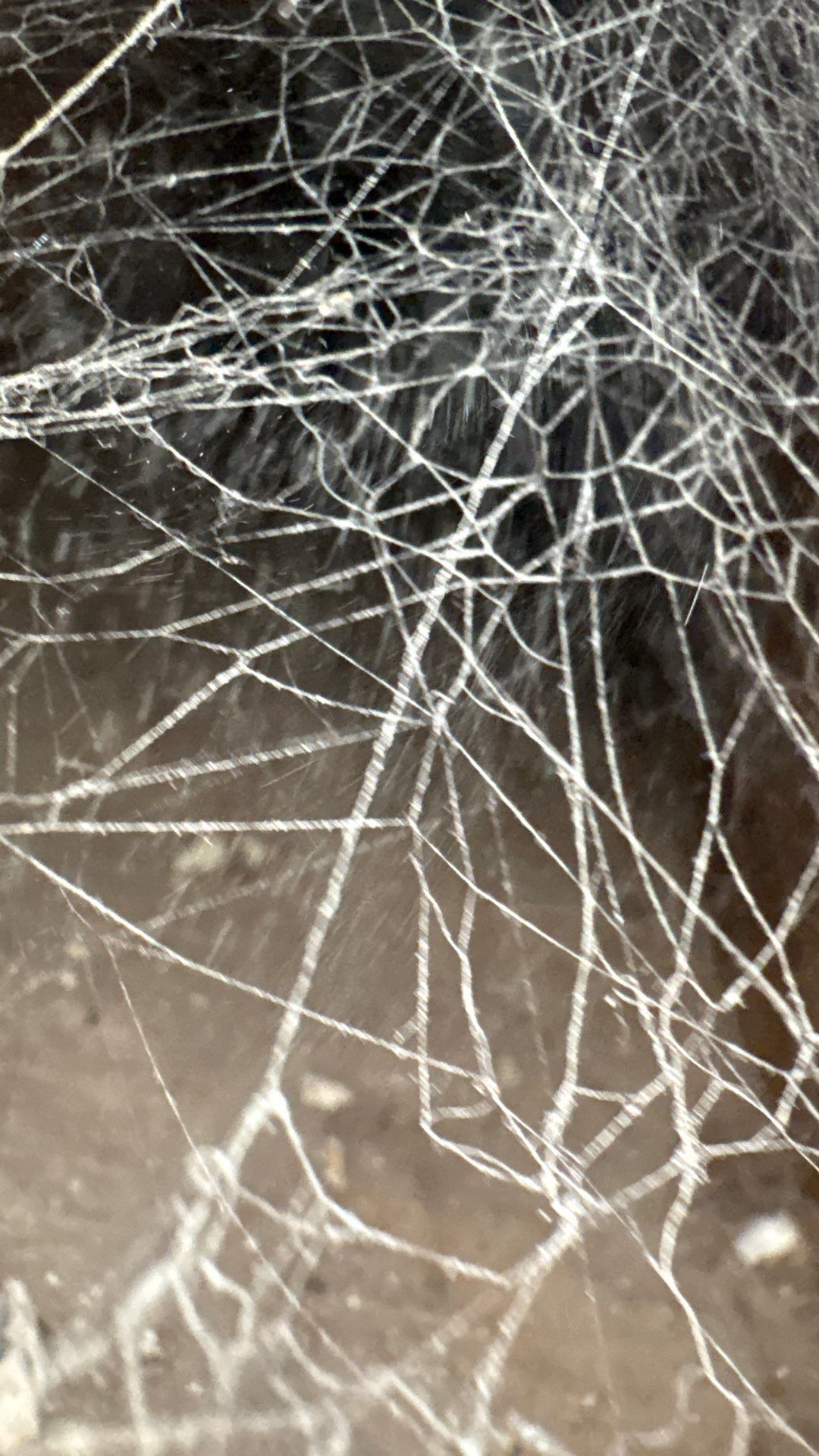 Comprehensive HVAC Air Duct System Cleaning in Beaver Falls by Superior Air Duct Cleaning